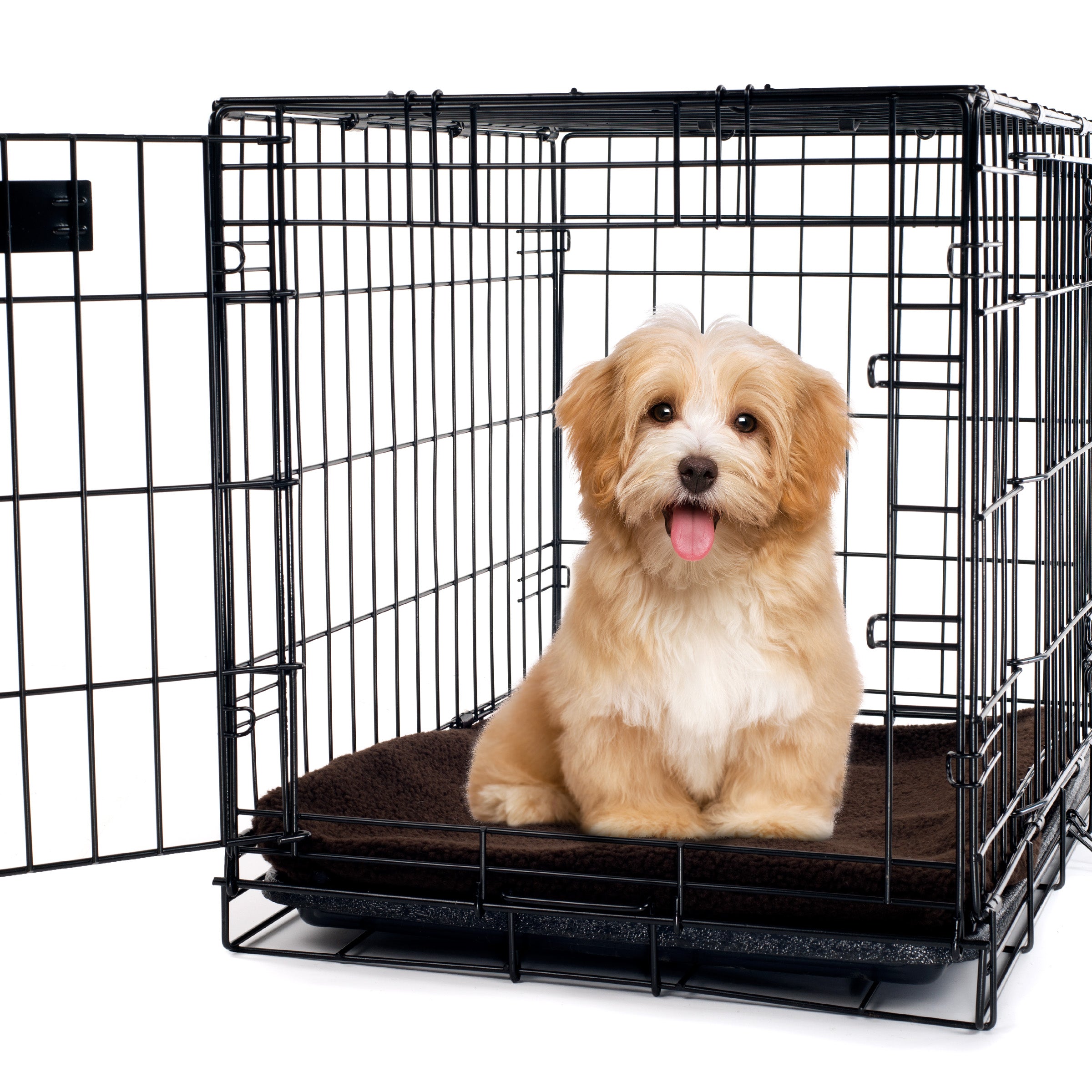 Heated crate hot sale pad