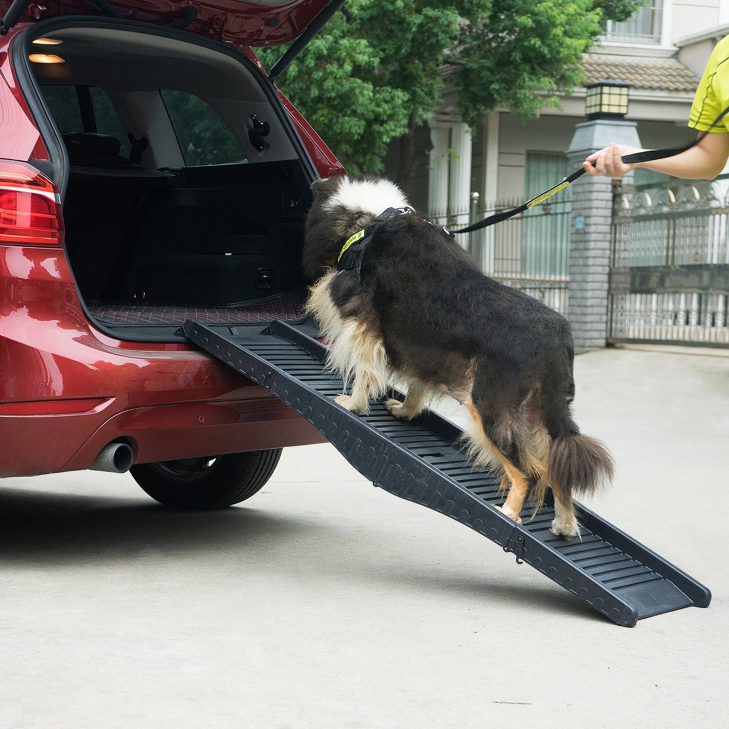 Nonslip Dog Ramp with Raised Sides