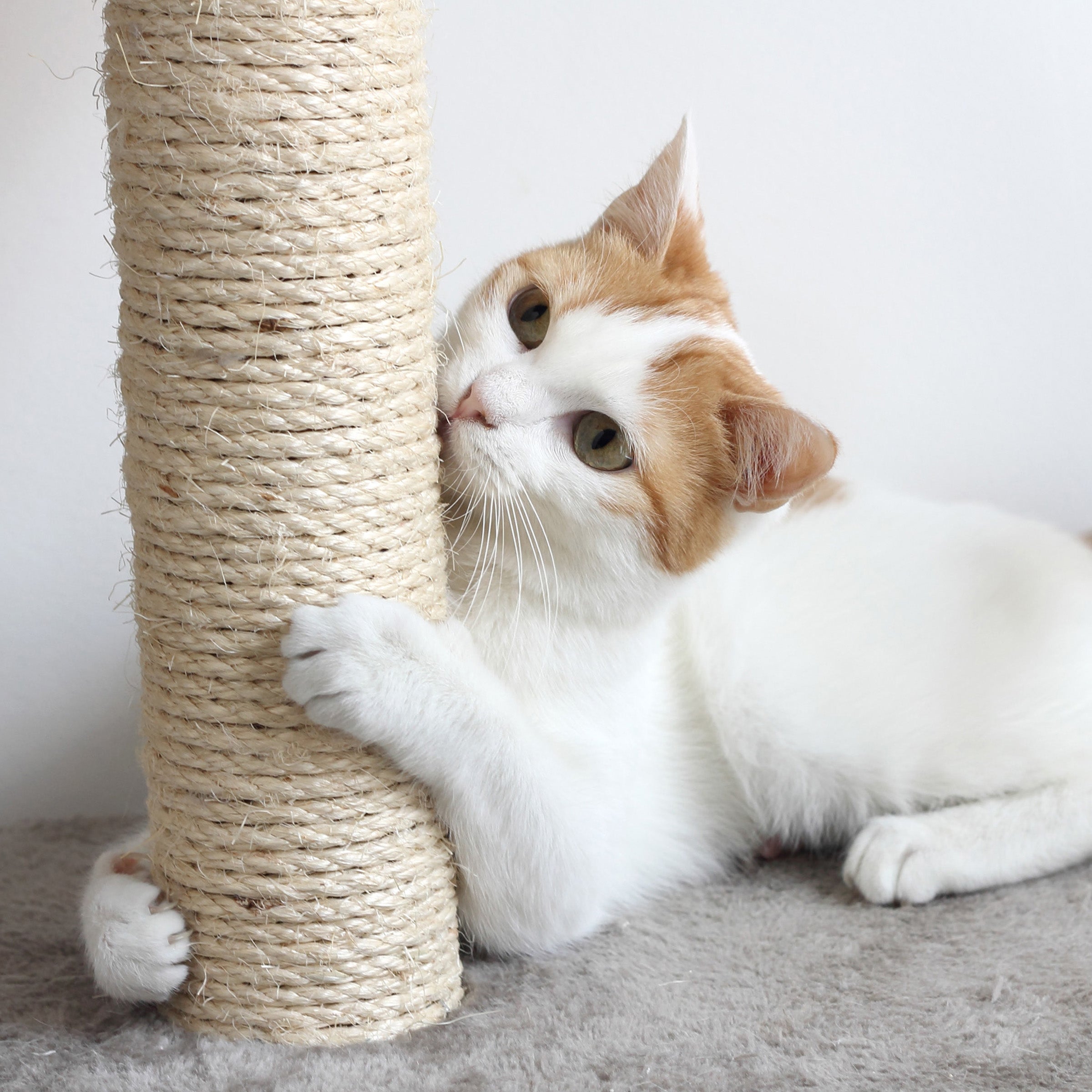 PETMAKER Cat Tree with 2 Perches Condo 5 Scratch Posts and Toy White PetMaker