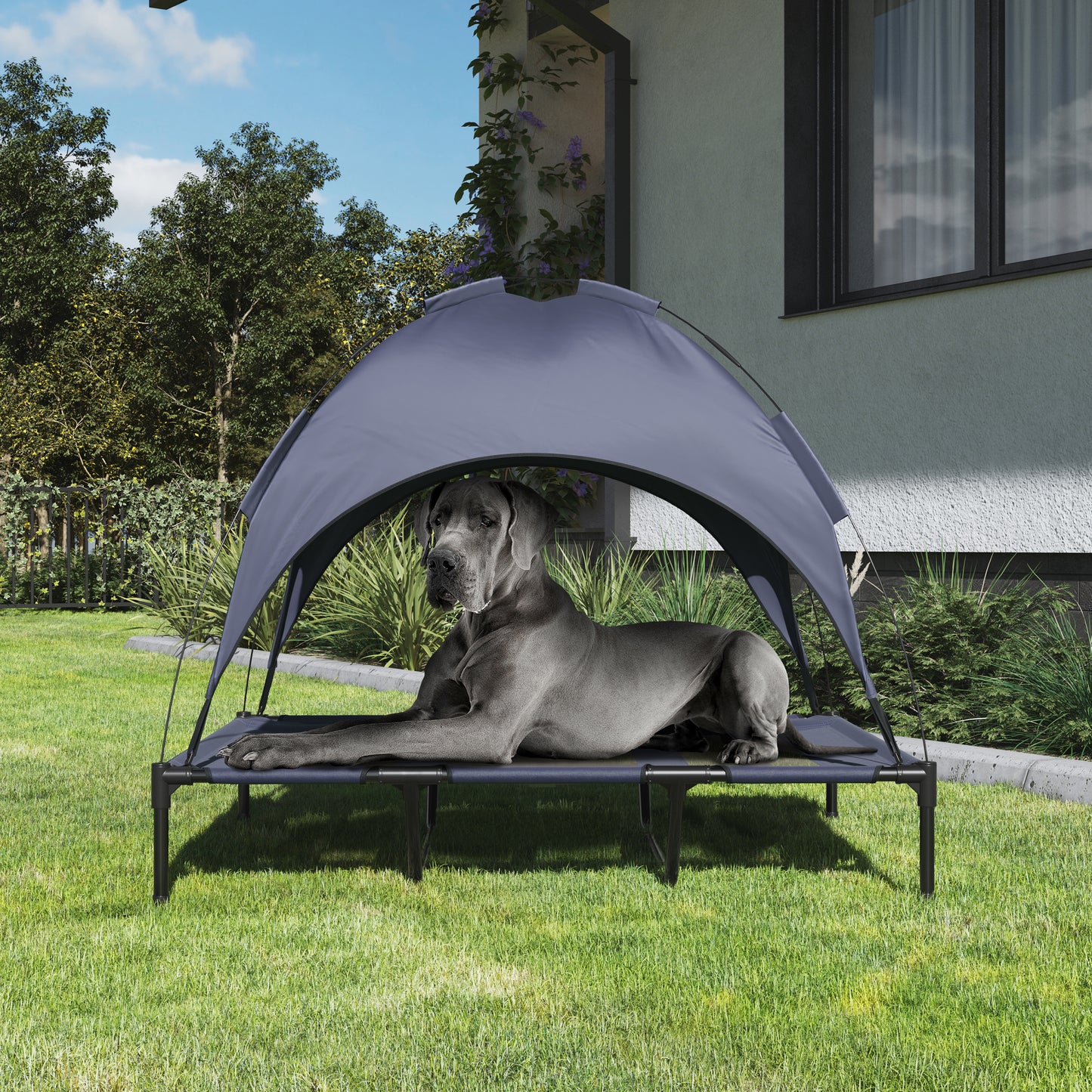 Elevated Dog Bed with Canopy