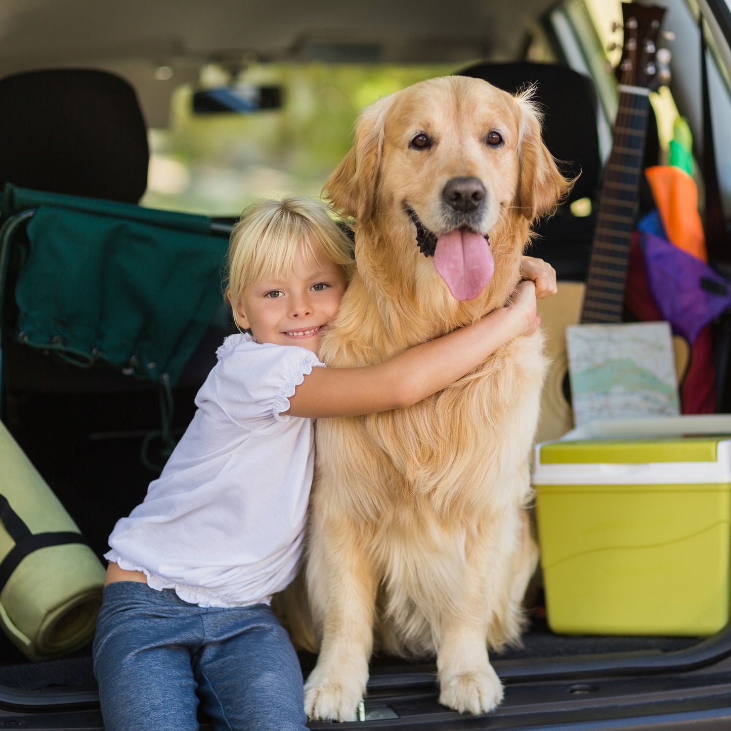 Folding, Nonslip Dog Ramp