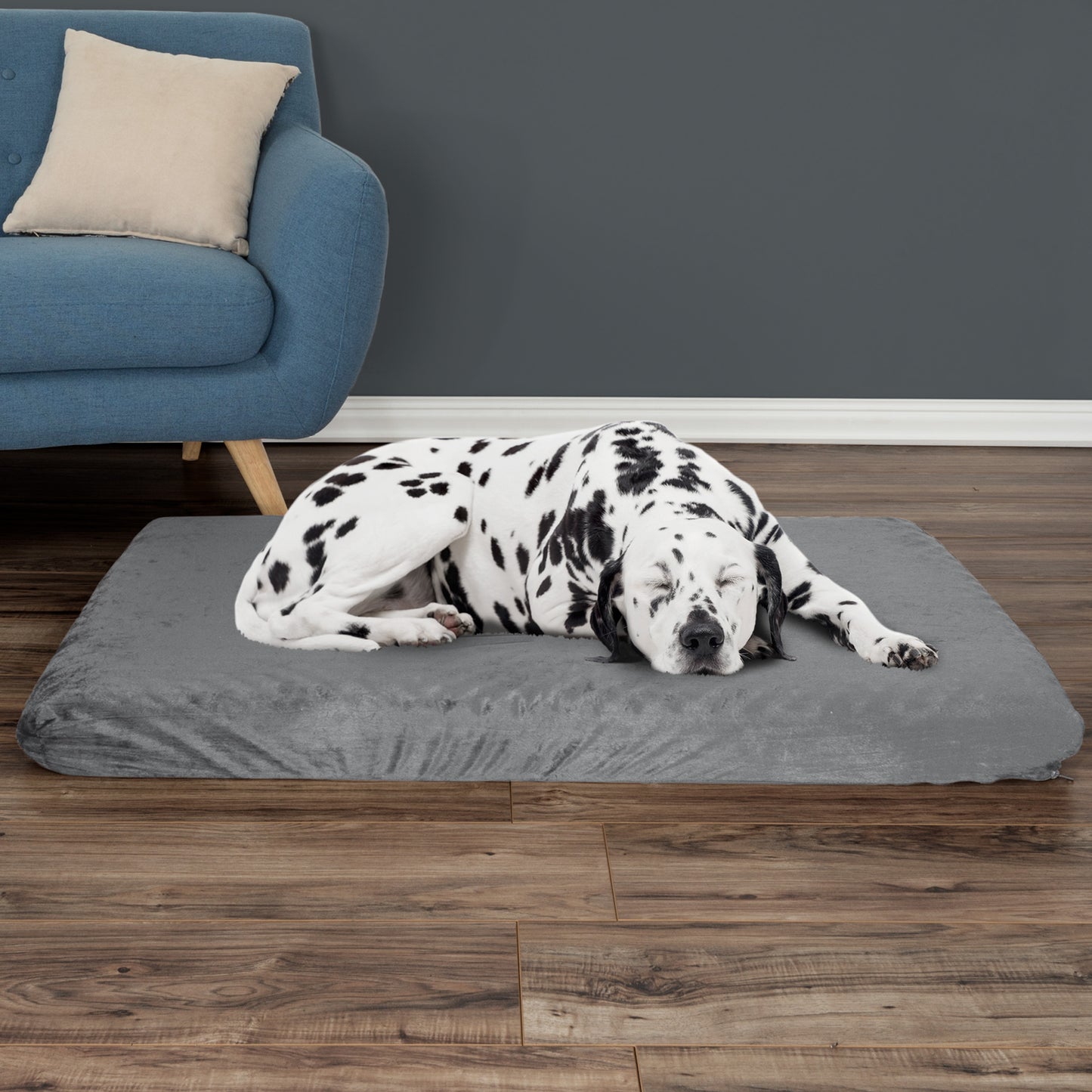 Orthopedic Dog Bed