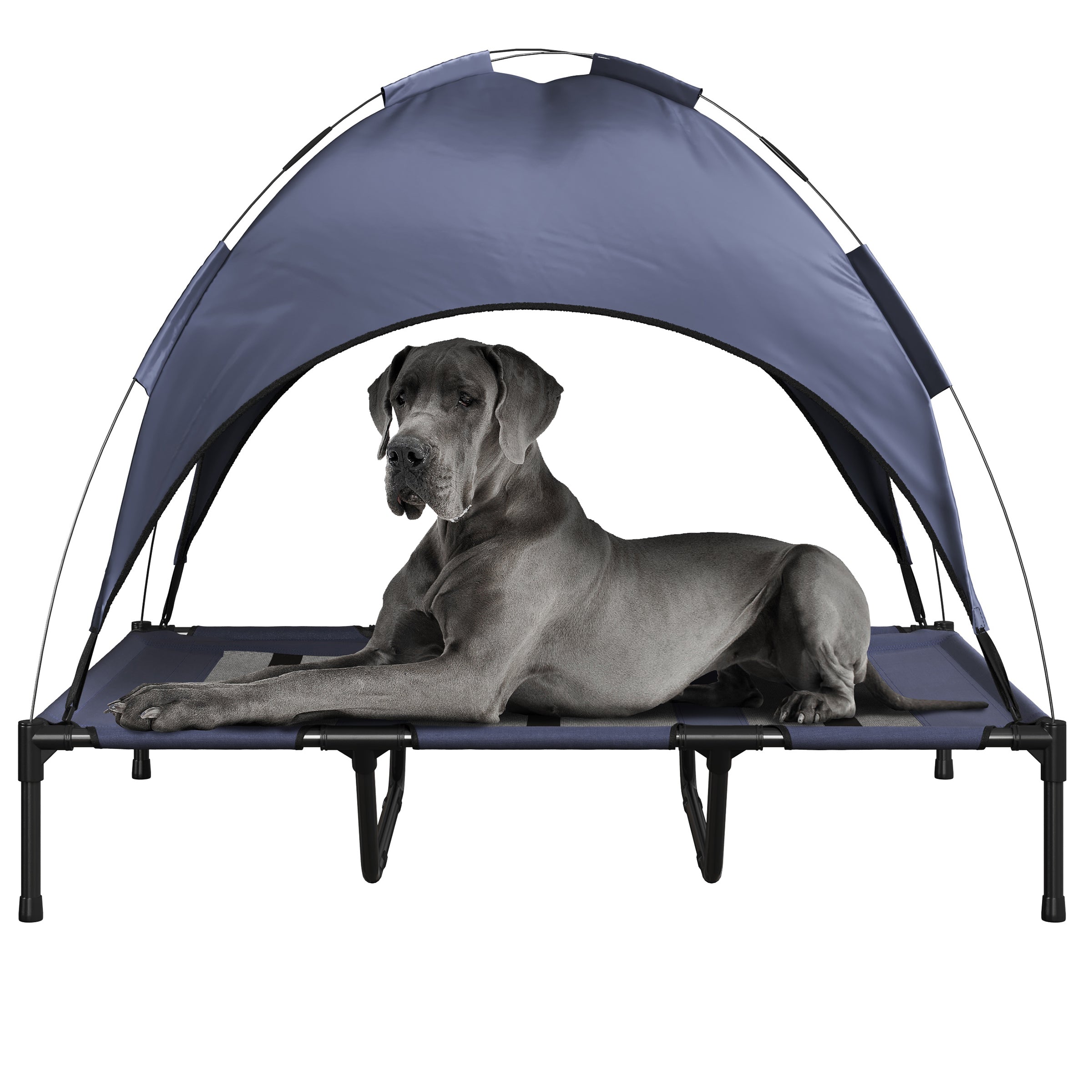 Raised dog bed with canopy best sale