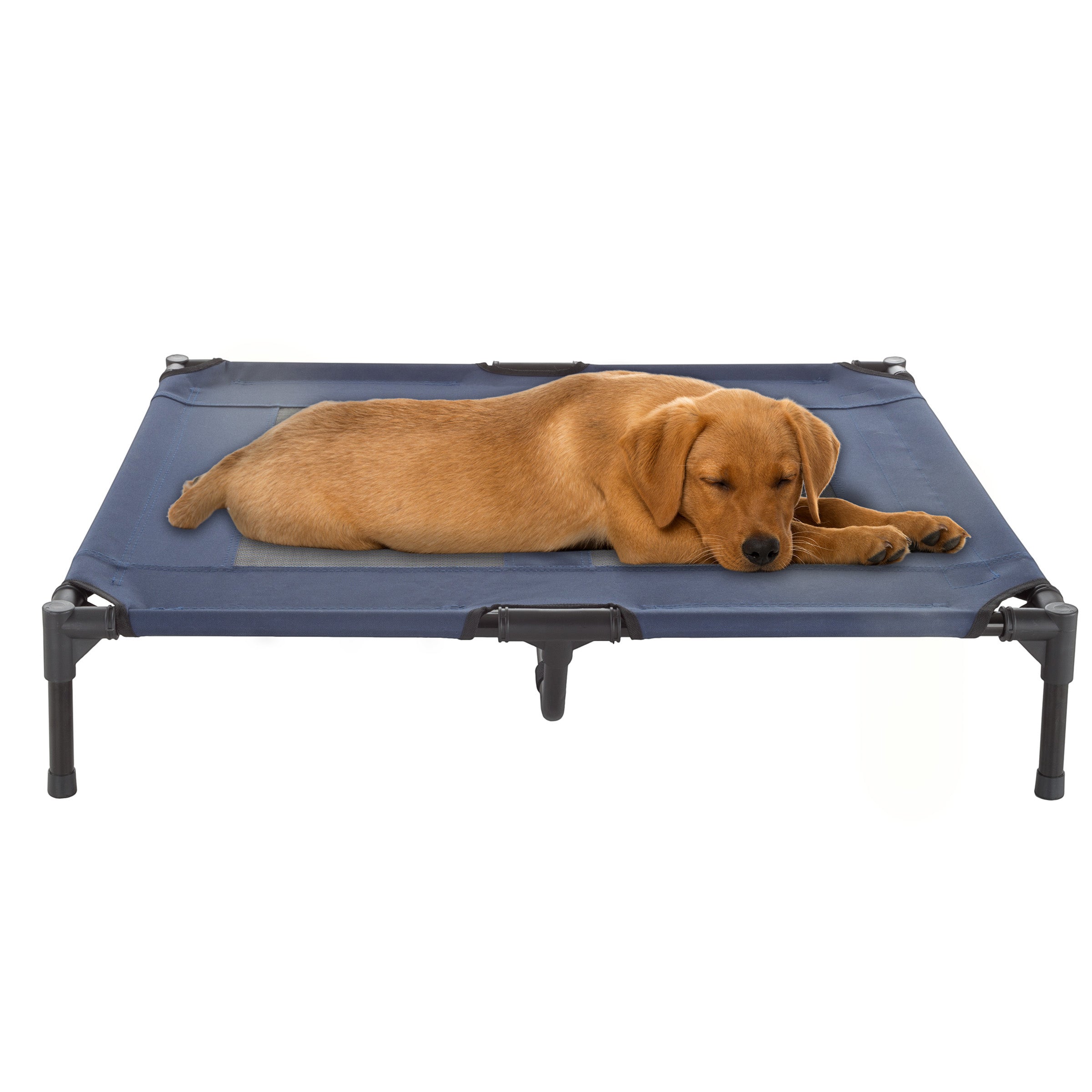 Indoor outdoor dog bed best sale