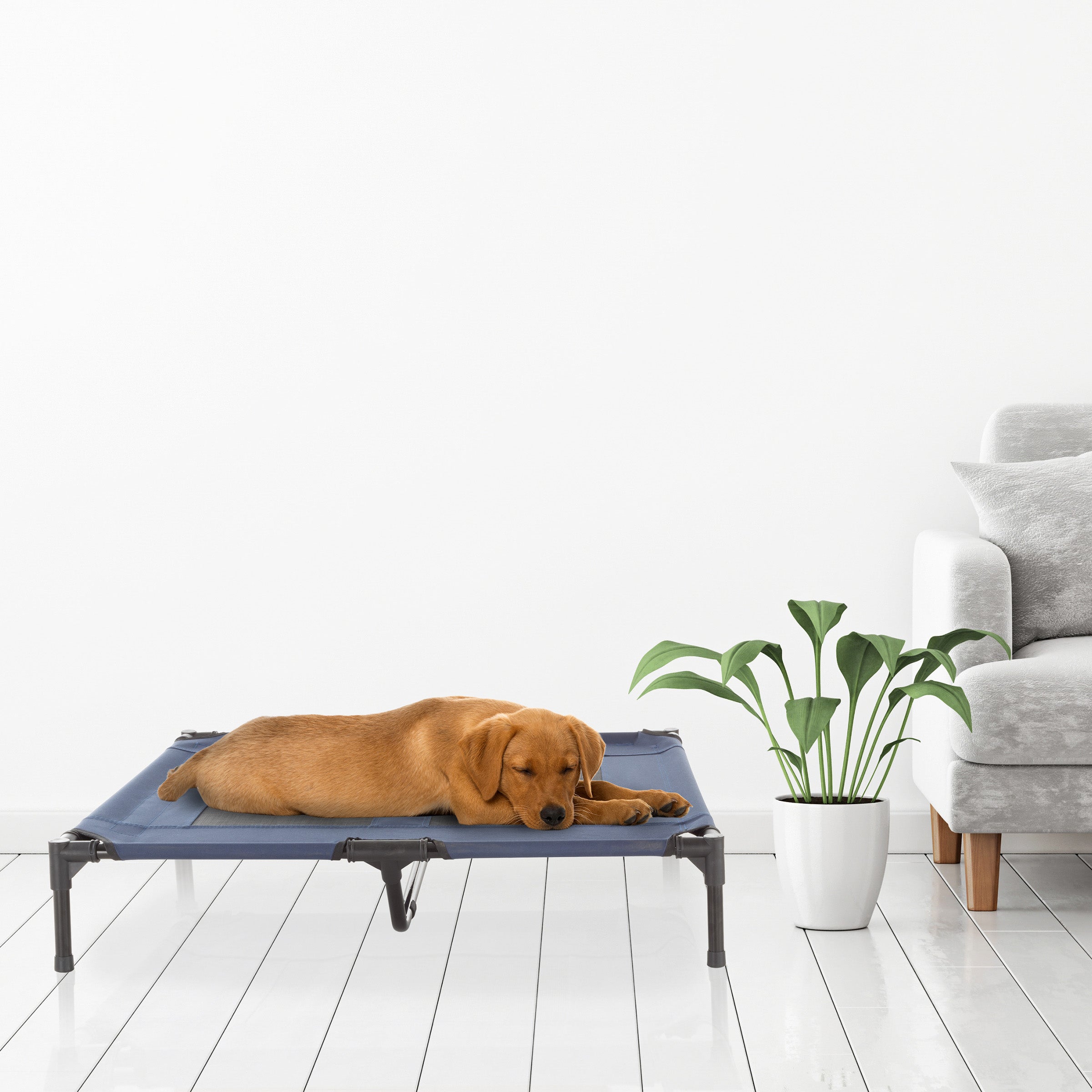 Petmaker elevated pet bed hotsell