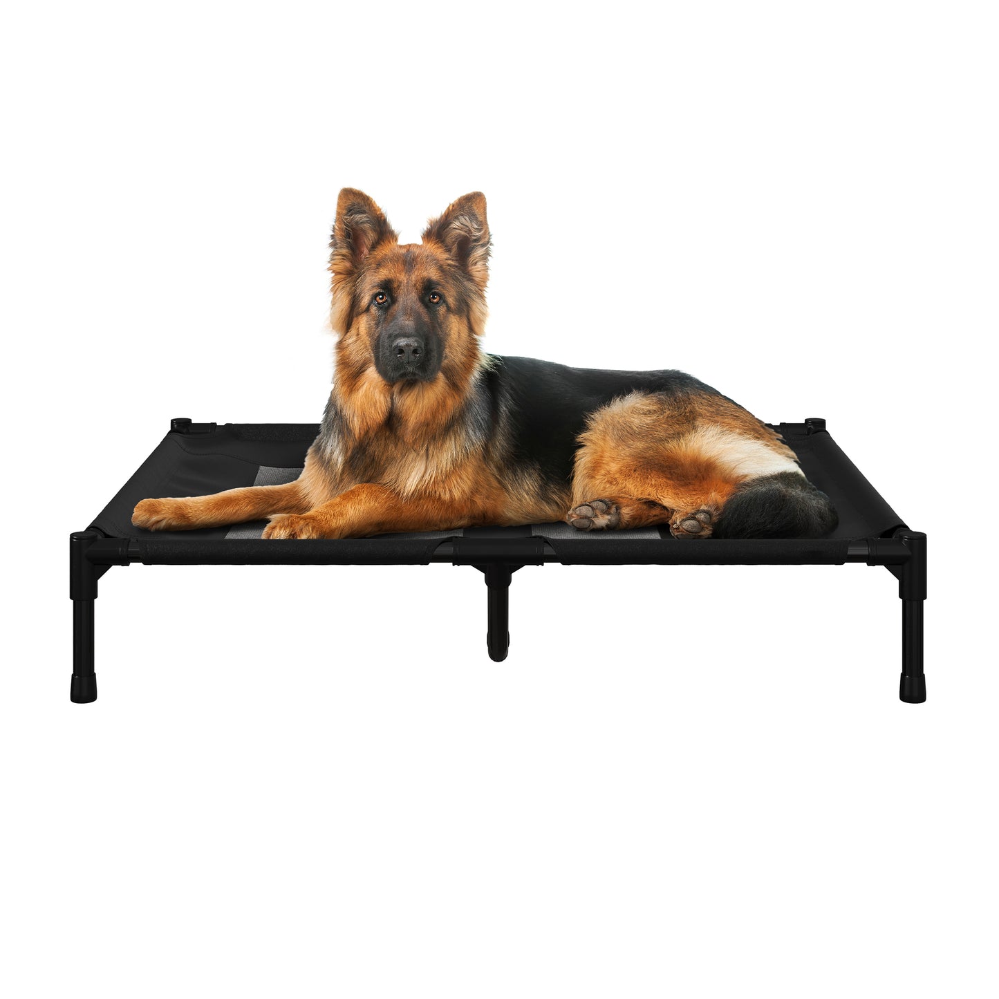 Elevated Dog Bed