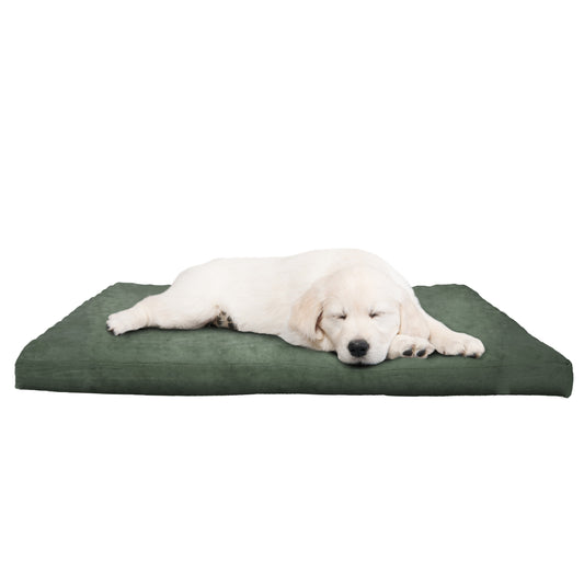 Orthopedic Foam Dog Bed