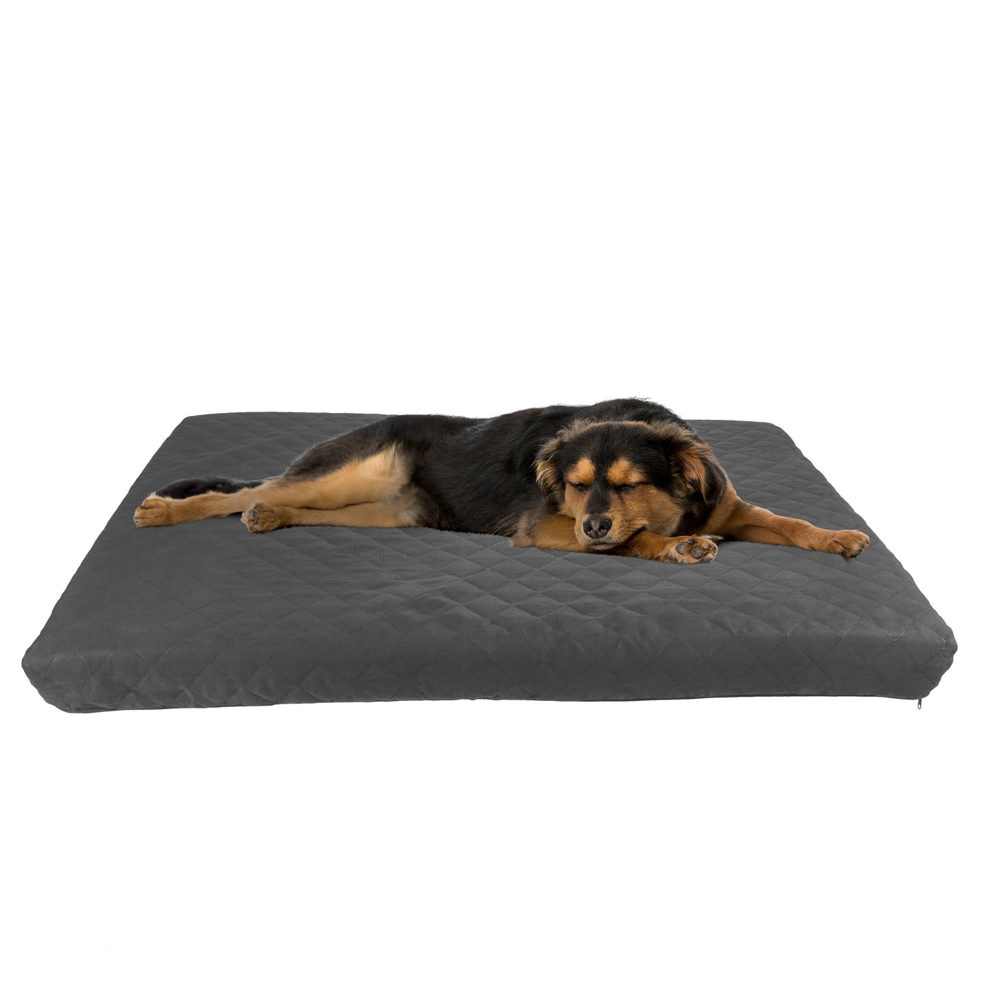 2-Layer Memory Foam Dog Bed