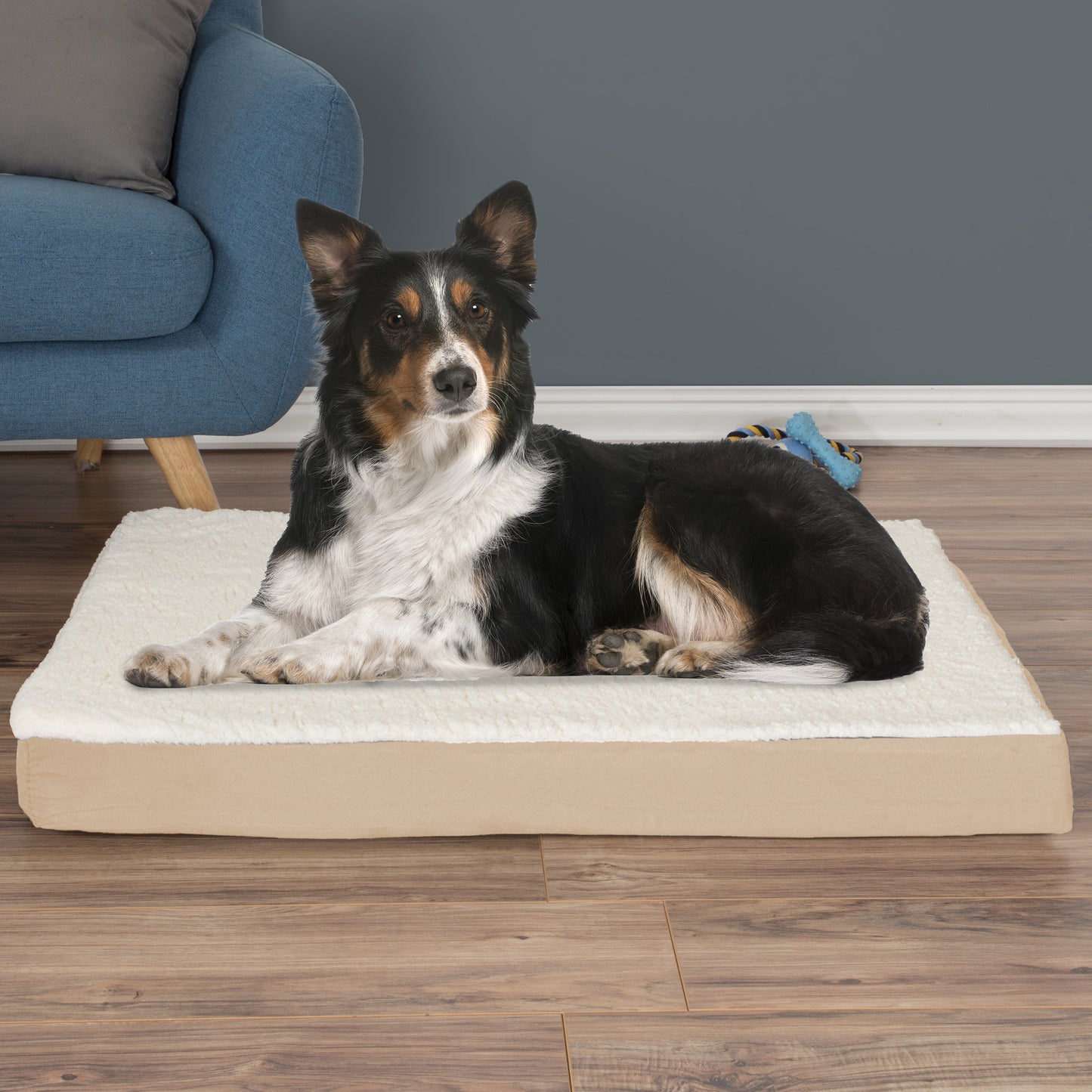 Orthopedic Sherpa Top Pet Bed