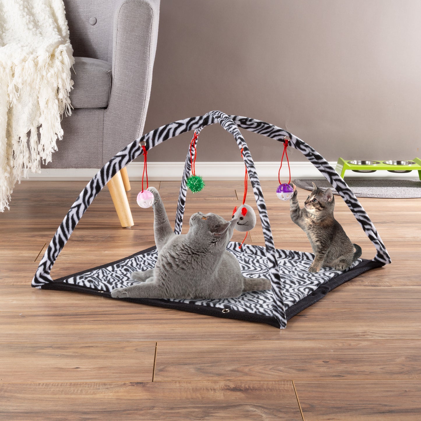 Foldable Cat Activity Center