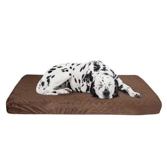 Orthopedic Dog Bed