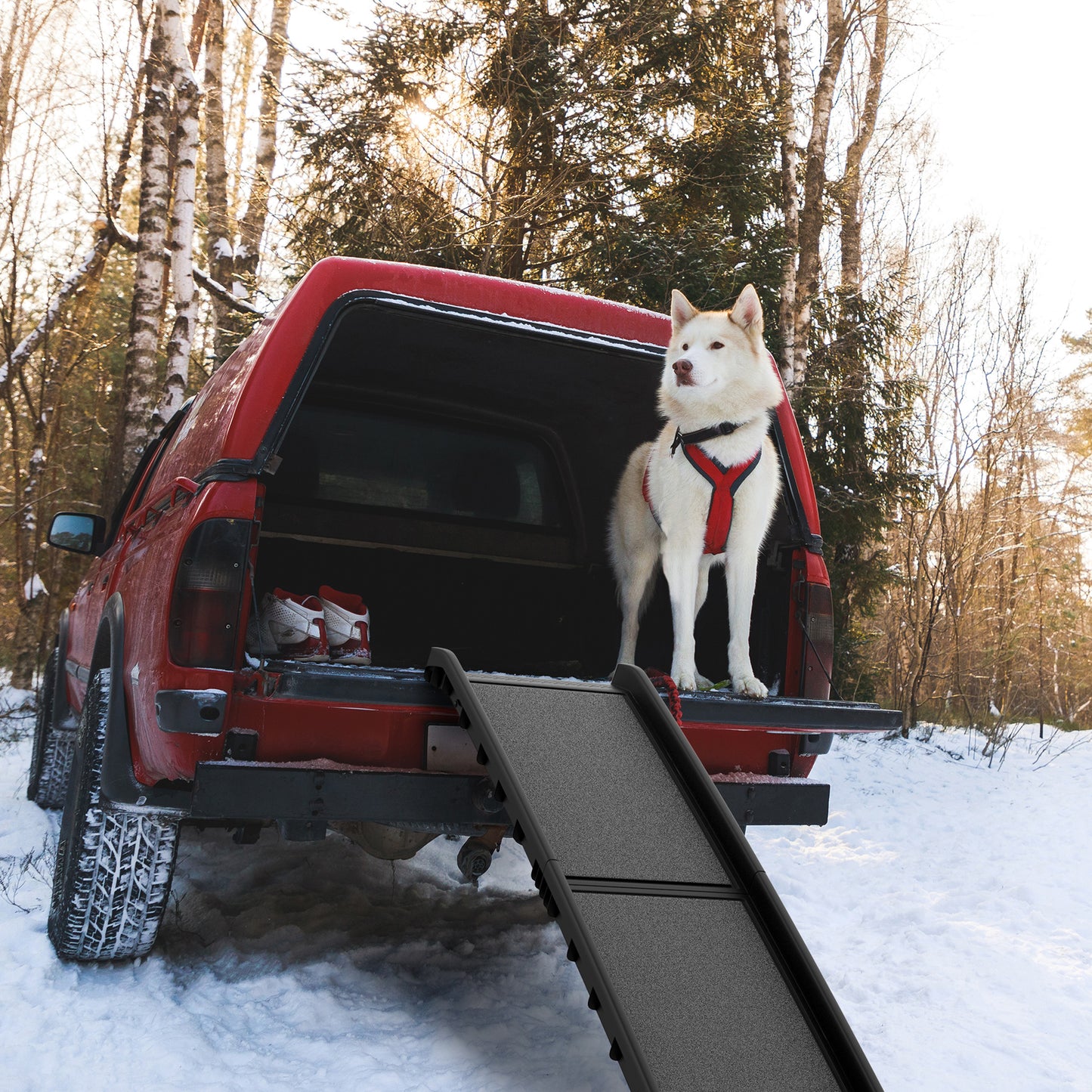 Folding, Nonslip Dog Ramp