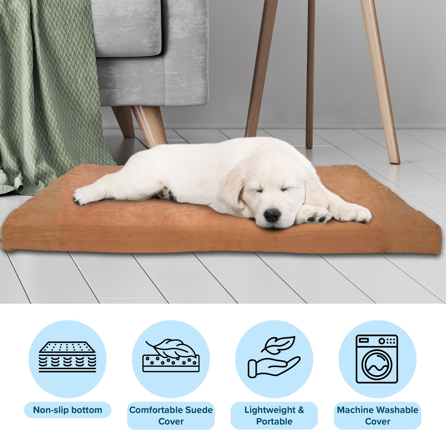 Orthopedic Foam Dog Bed