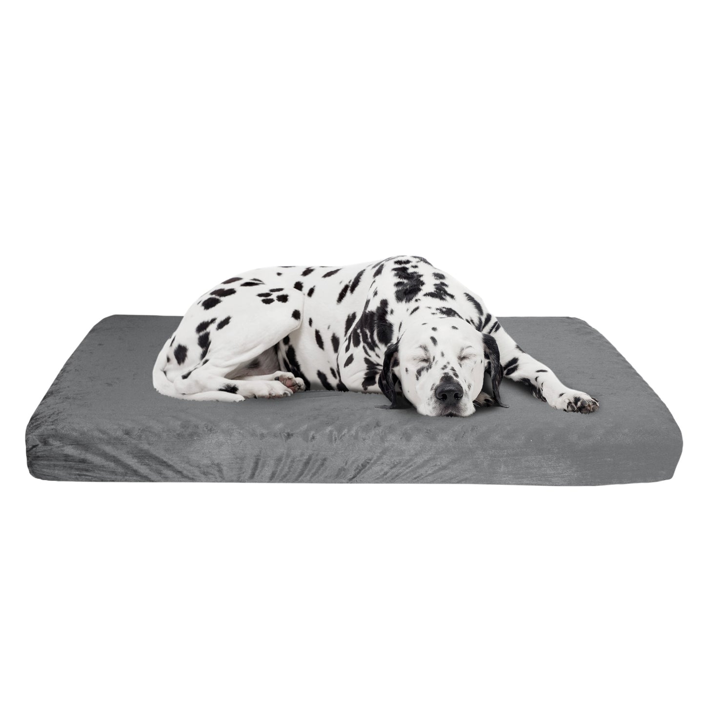 Orthopedic Dog Bed