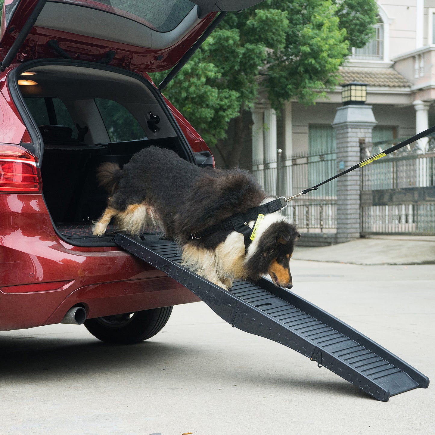 Nonslip Dog Ramp with Raised Sides