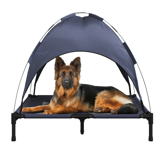 Elevated Dog Bed with Canopy