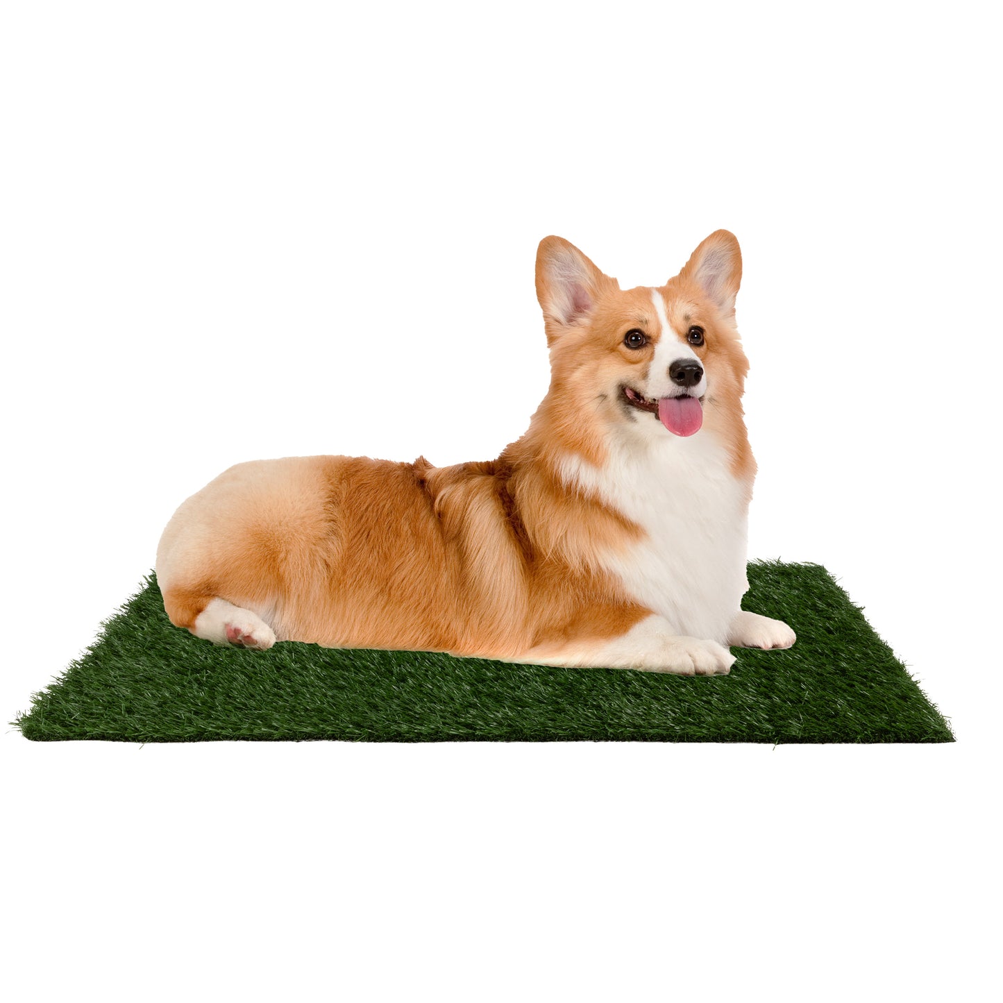 Set of 3 Replacement Turf Grass Pee Pads