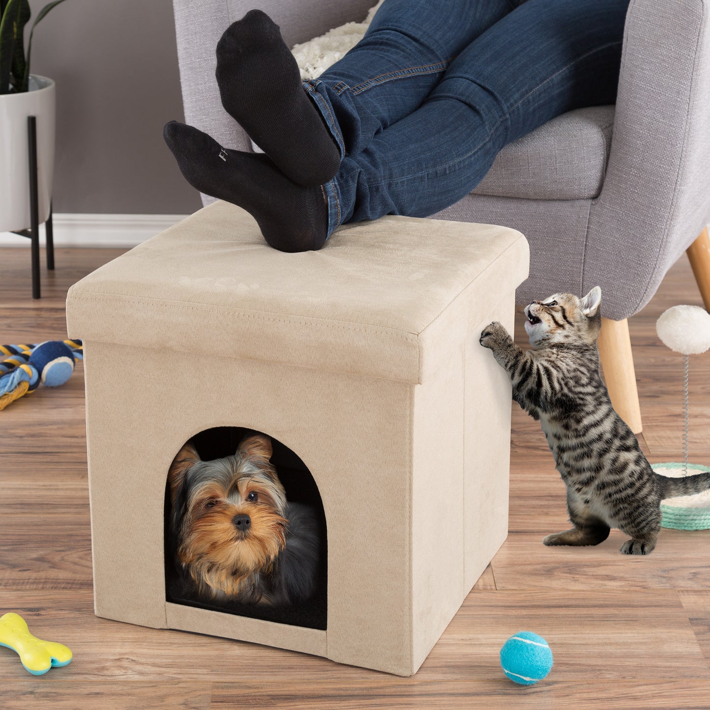 Pet House Ottoman