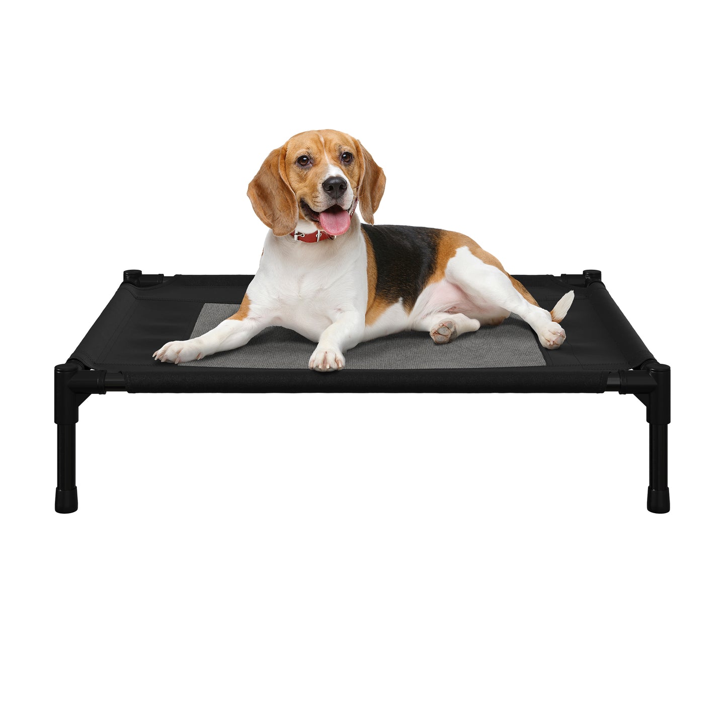 Elevated Dog Bed