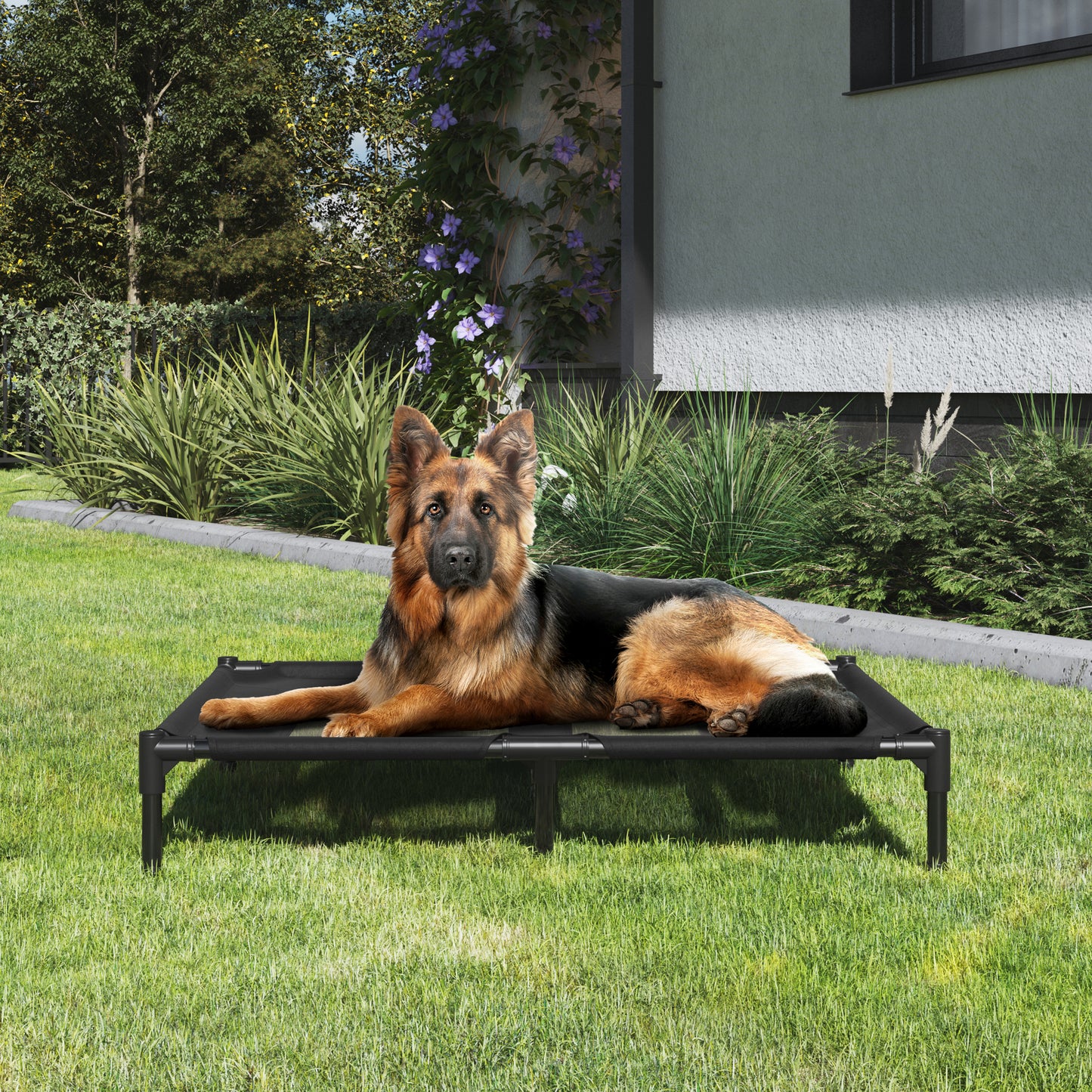 Elevated Dog Bed