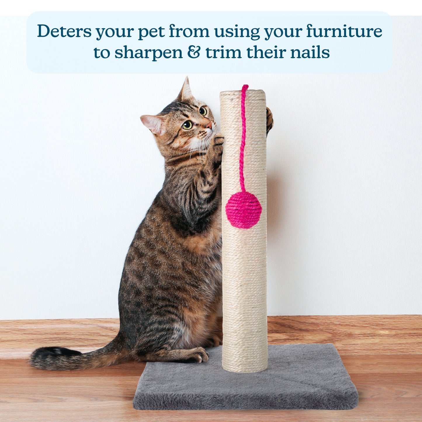 Indoor Cat Scratching Post