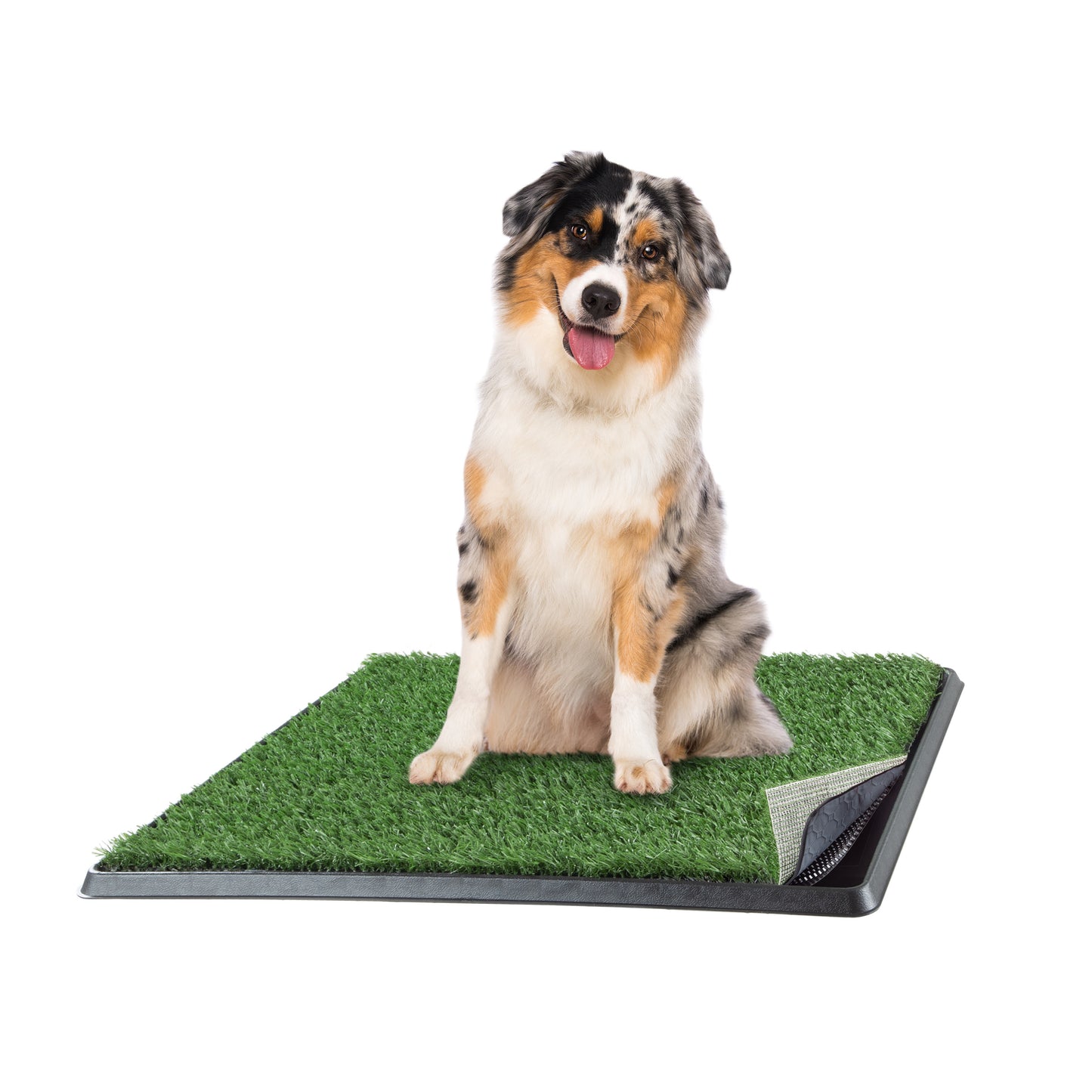 Set of 3 Replacement Turf Grass Pee Pads