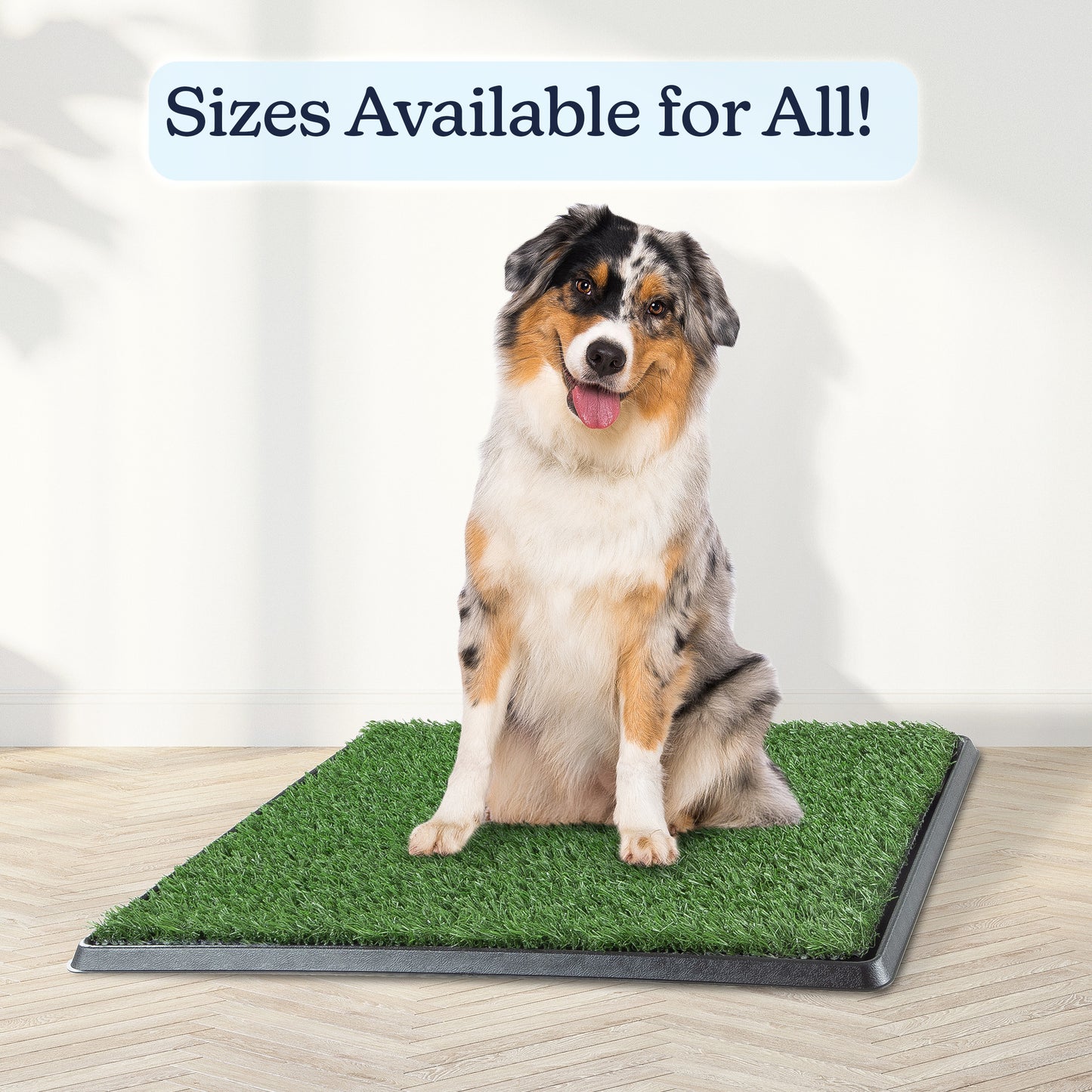 Artificial Grass Puppy Pad