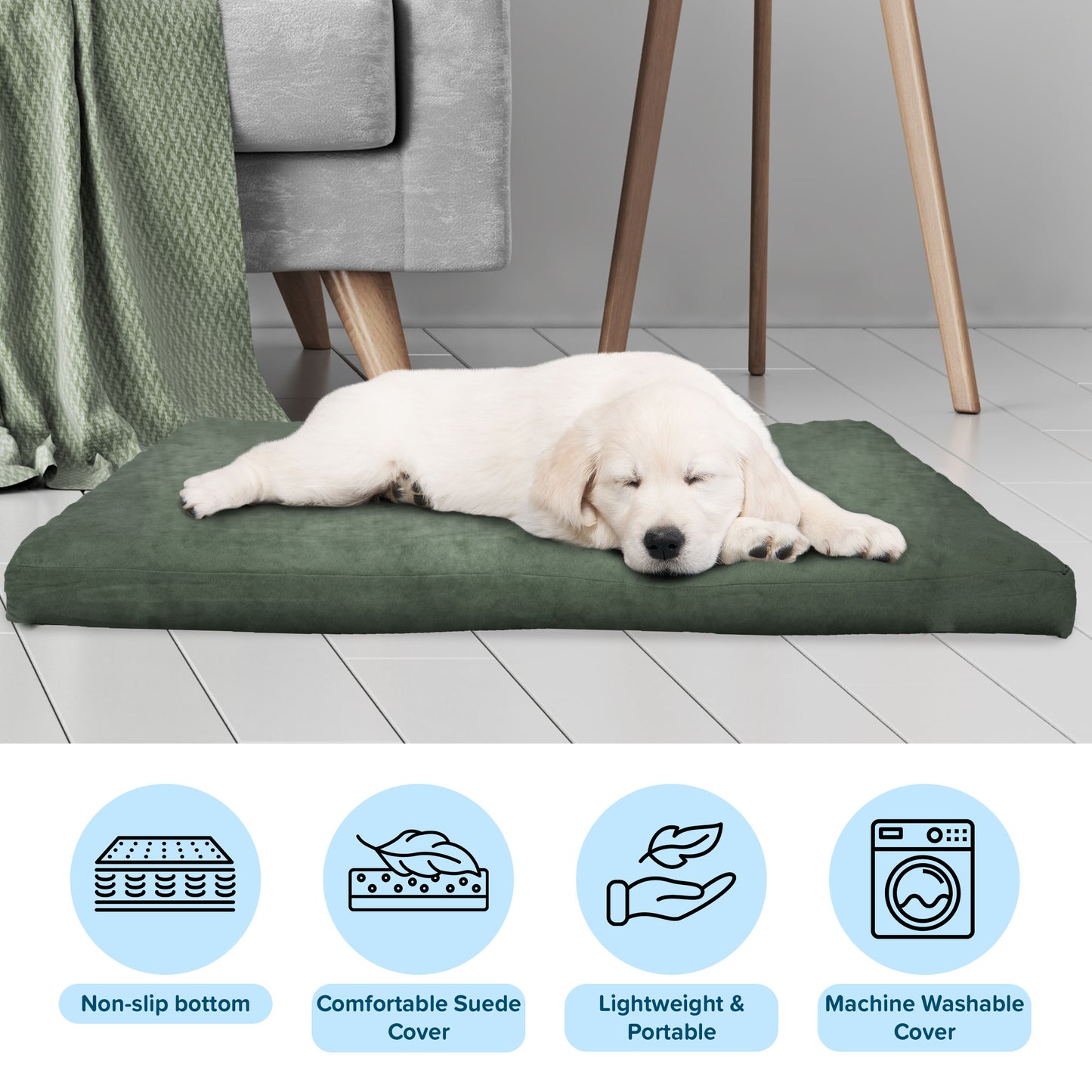 Orthopedic Foam Dog Bed