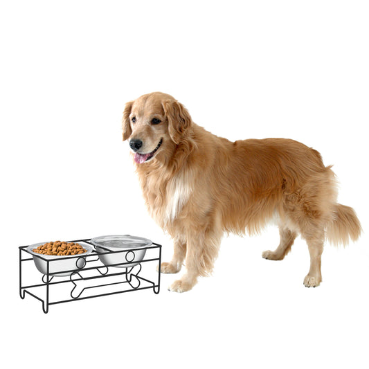 Elevated Dog Feeder with Two Bowls