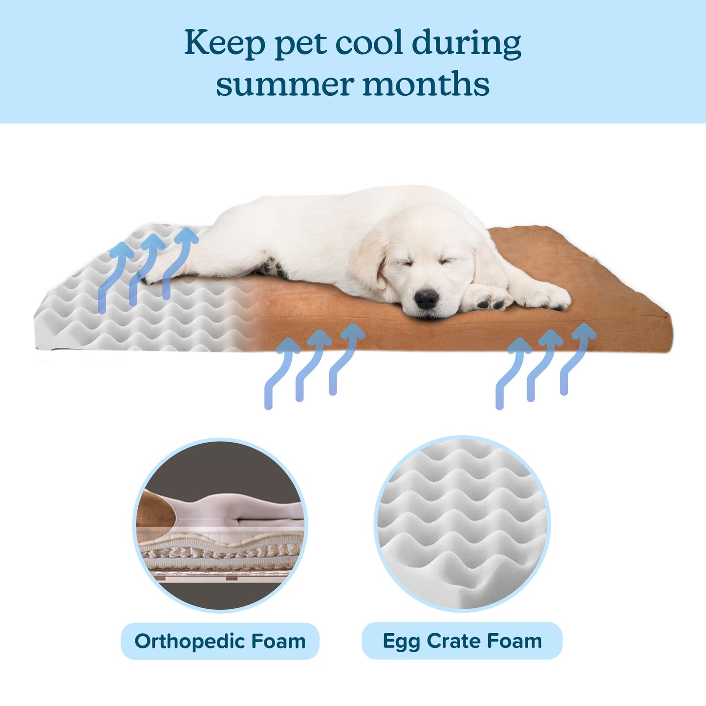 Orthopedic Foam Dog Bed