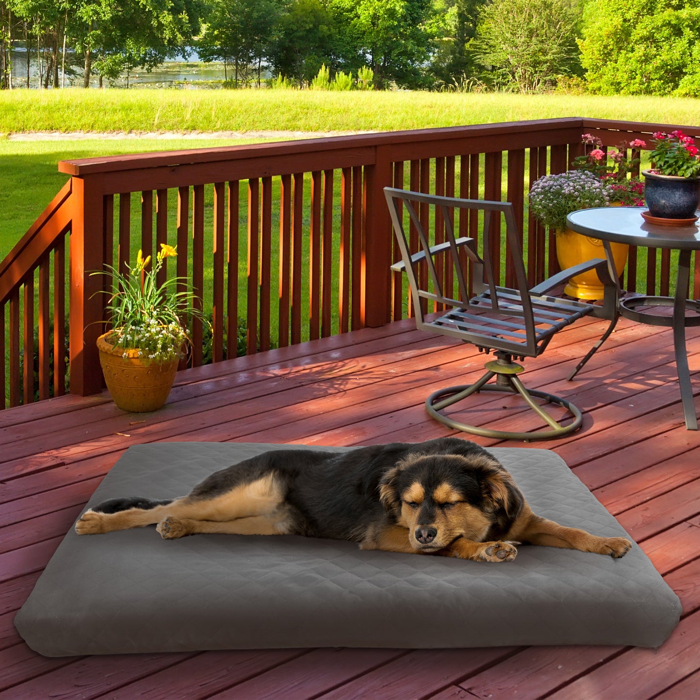 2-Layer Memory Foam Dog Bed