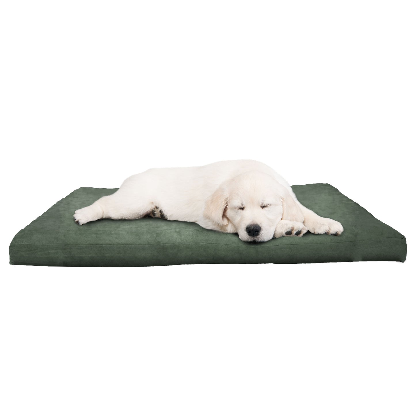 Orthopedic Foam Dog Bed