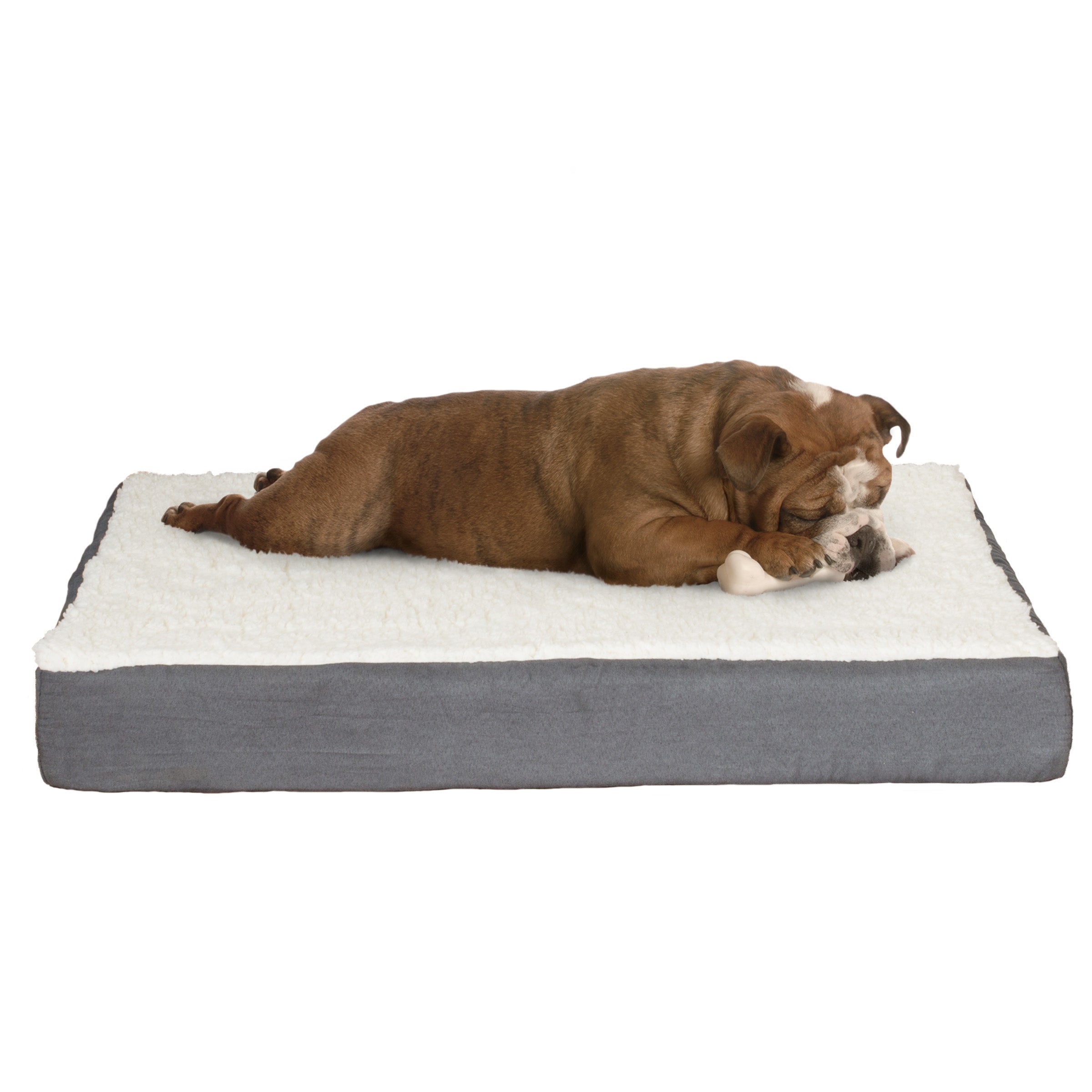 Petface memory foam dog bed large best sale