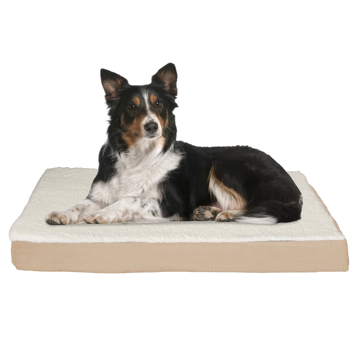 Orthopedic Sherpa Top Pet Bed