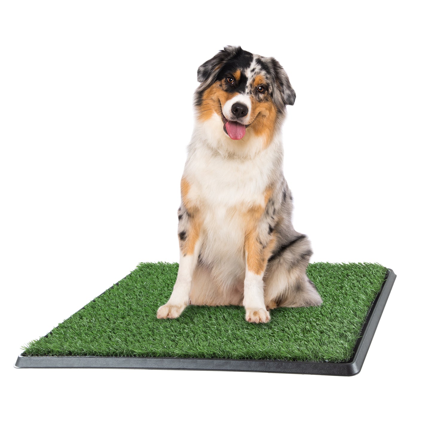 Artificial Grass Puppy Pad