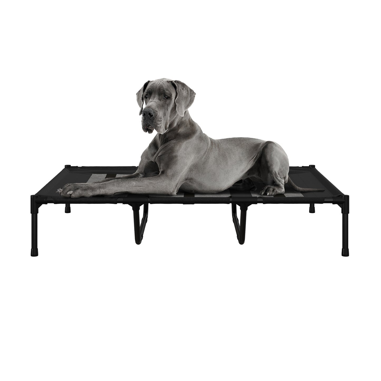 Elevated Dog Bed