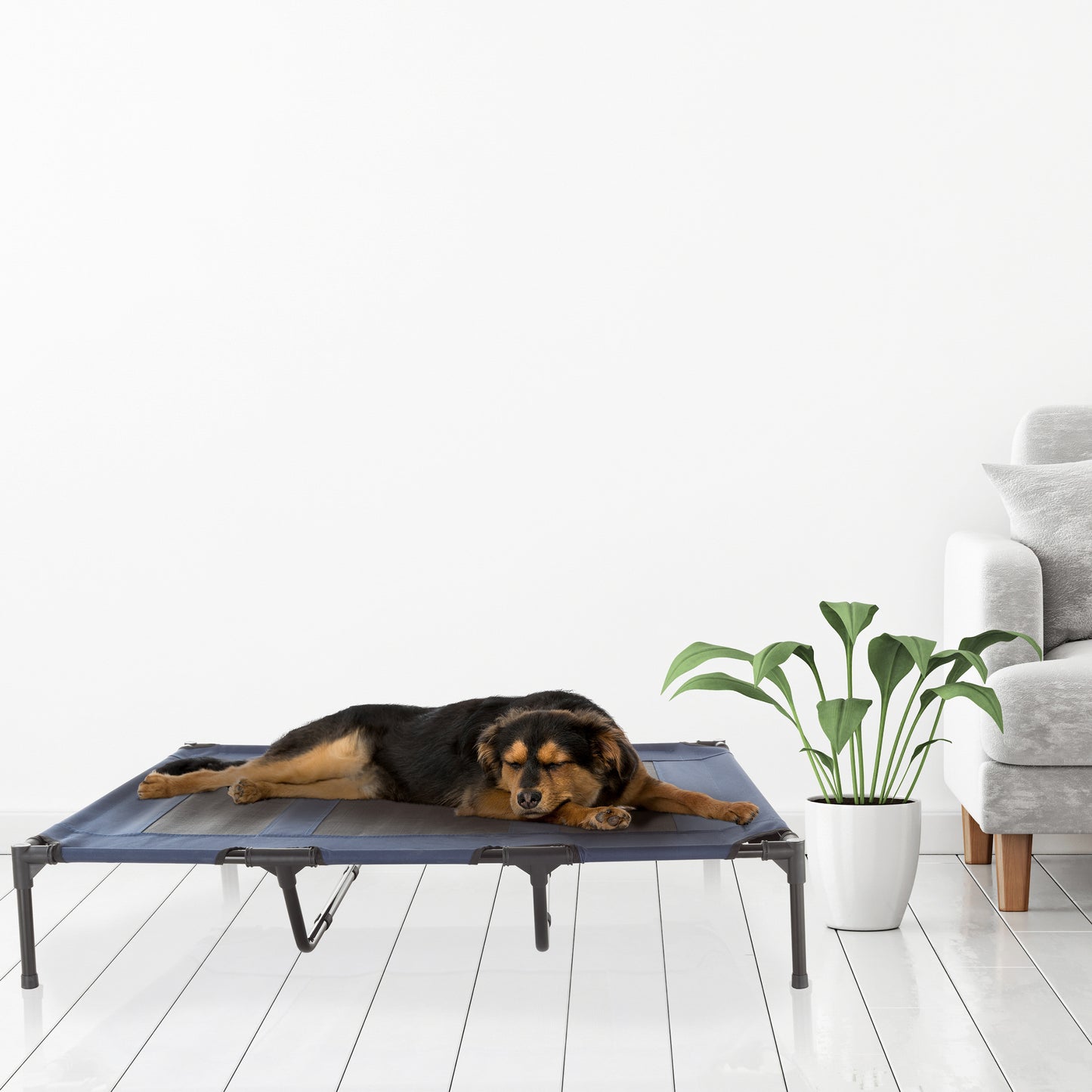 Elevated Dog Bed