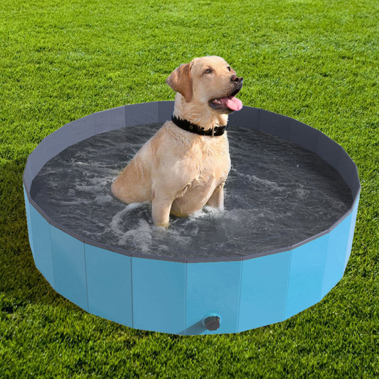 Portable Folding Dog Pool with Carry Bag