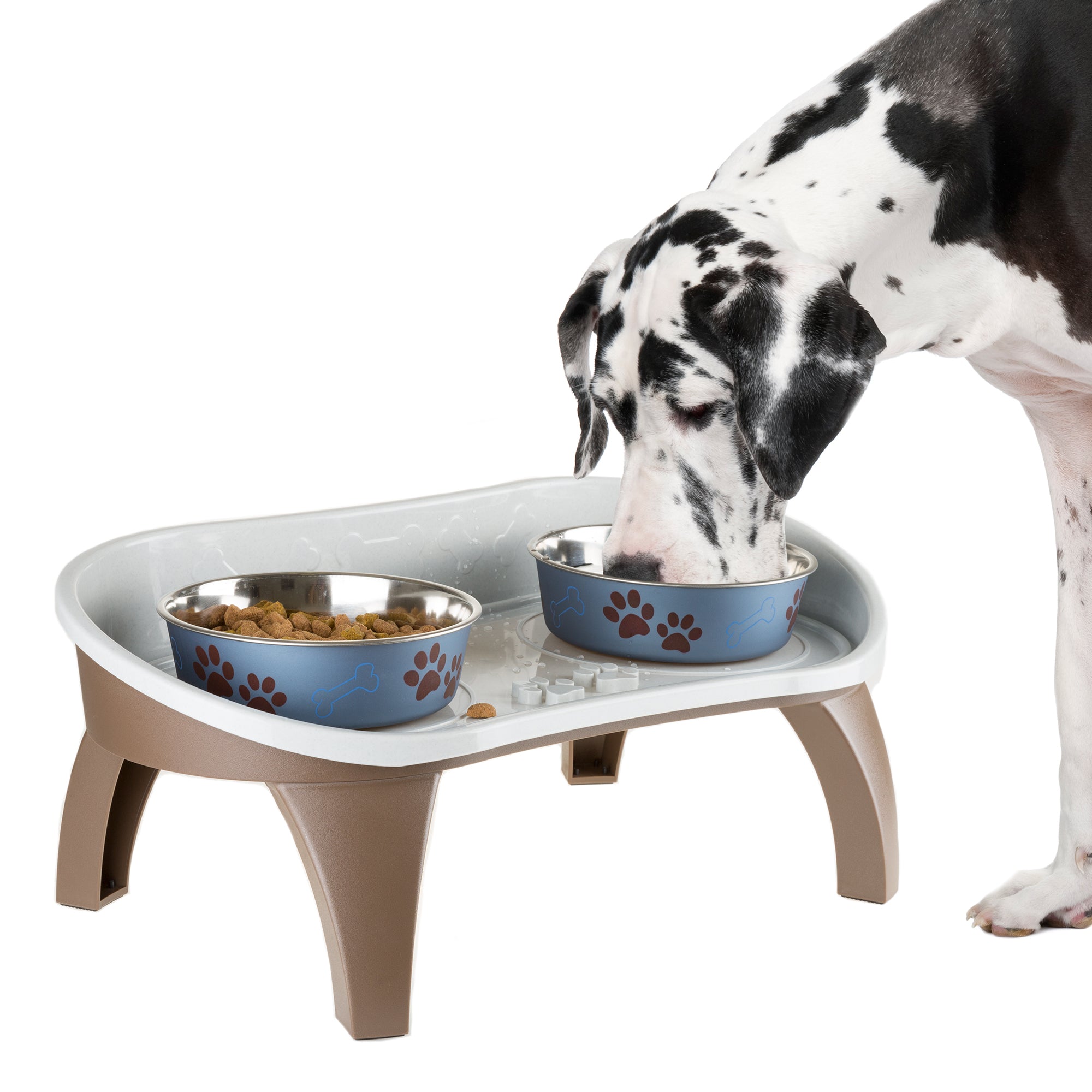 Petmaker Elevated Pet Feeding Tray with Splash Guard and Non Skid Feet