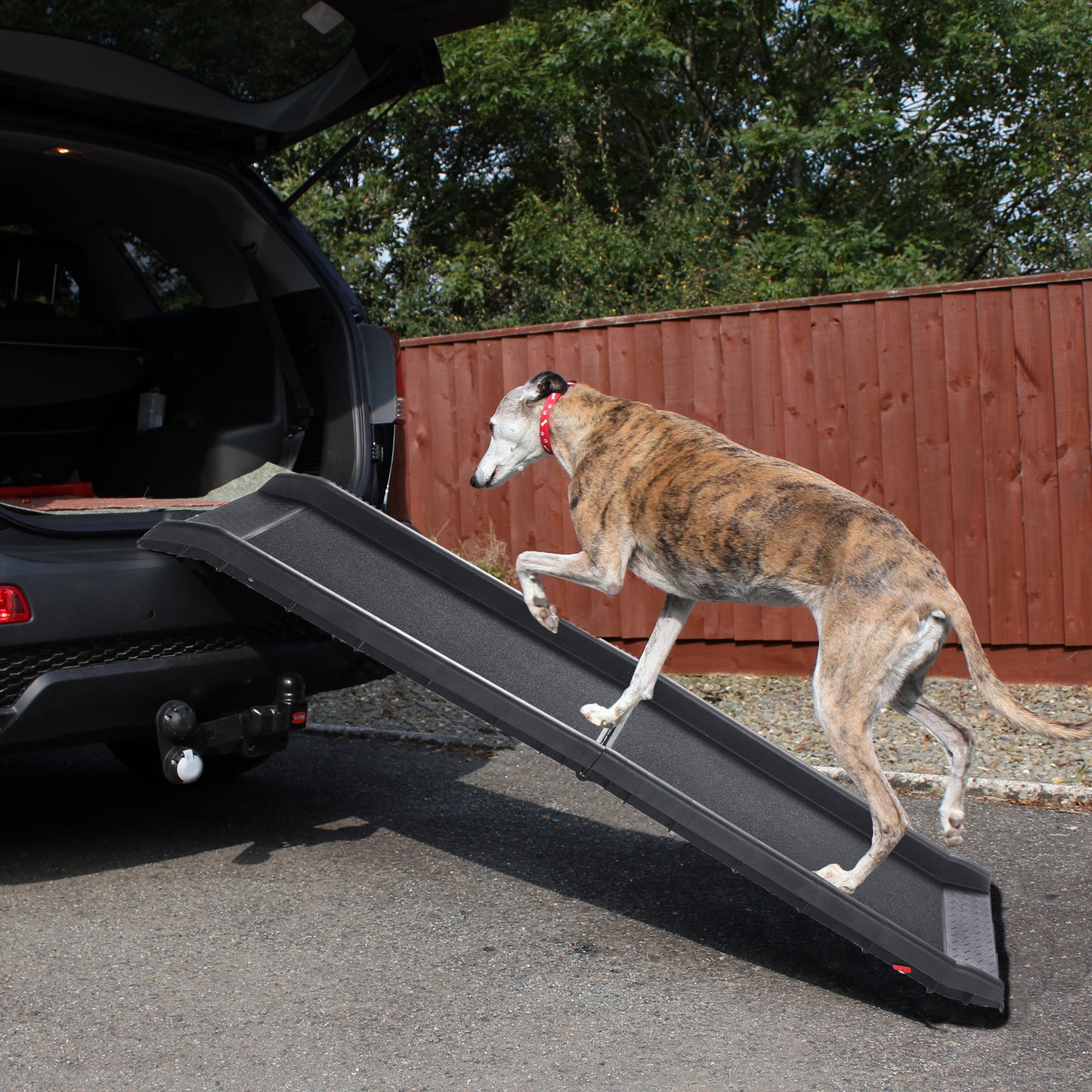 Portable Folding Dog Ramp