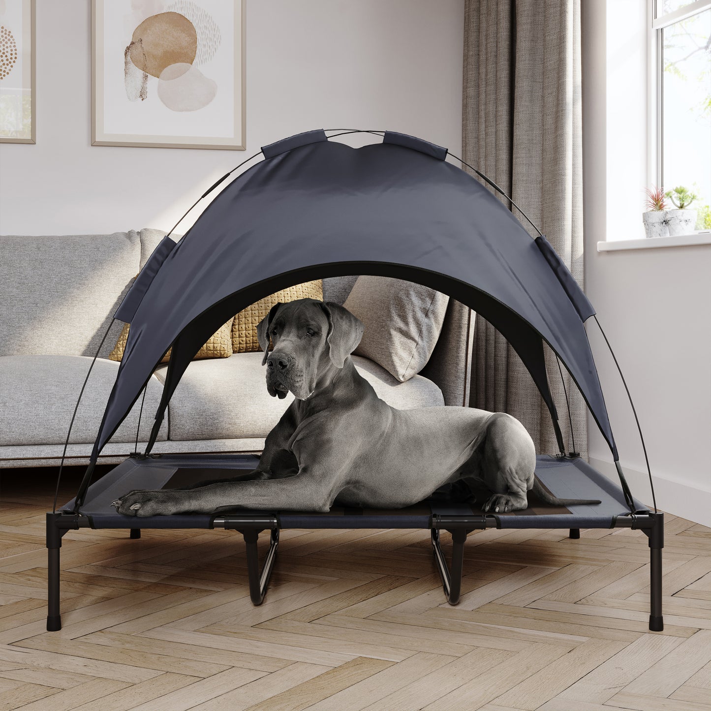 Elevated Dog Bed with Canopy