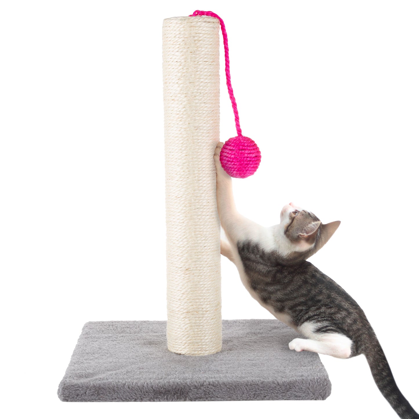 Indoor Cat Scratching Post