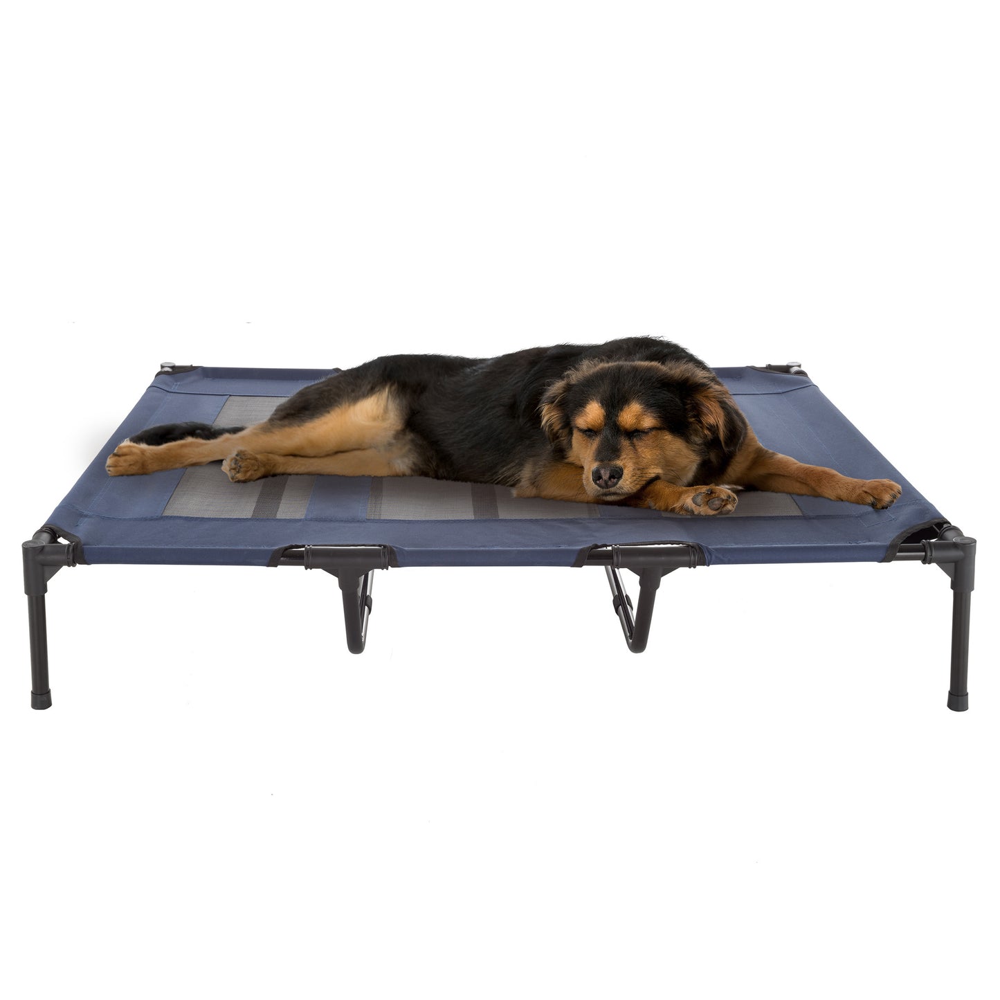 Elevated Dog Bed