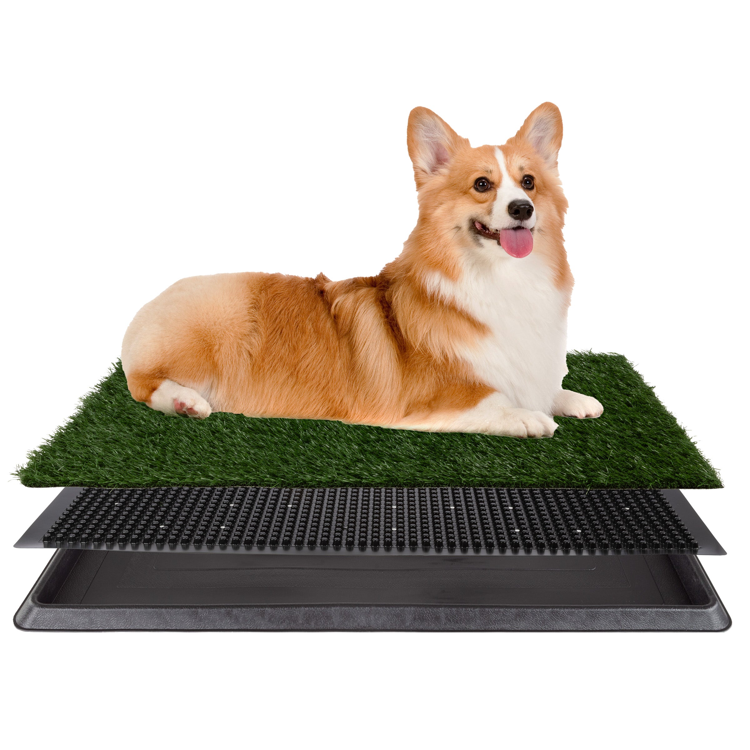 Pet toilet grass best sale