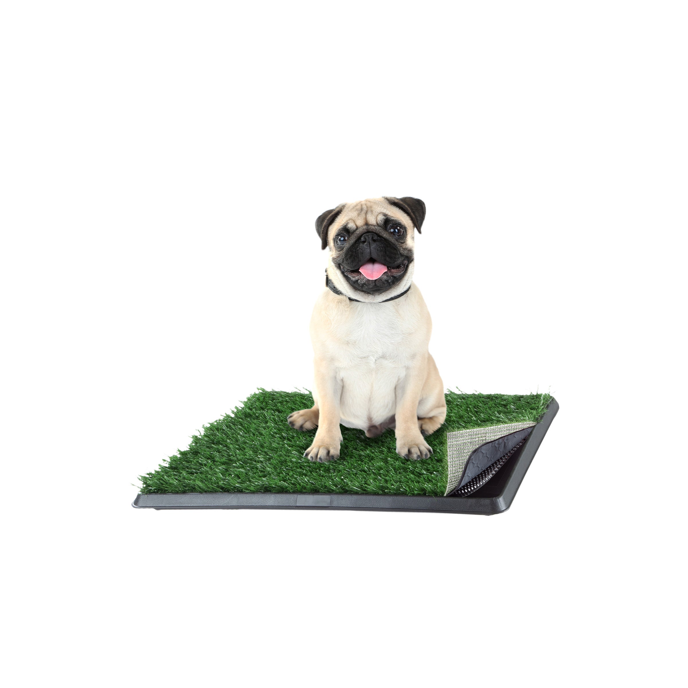 Artificial grass puppy outlet pads