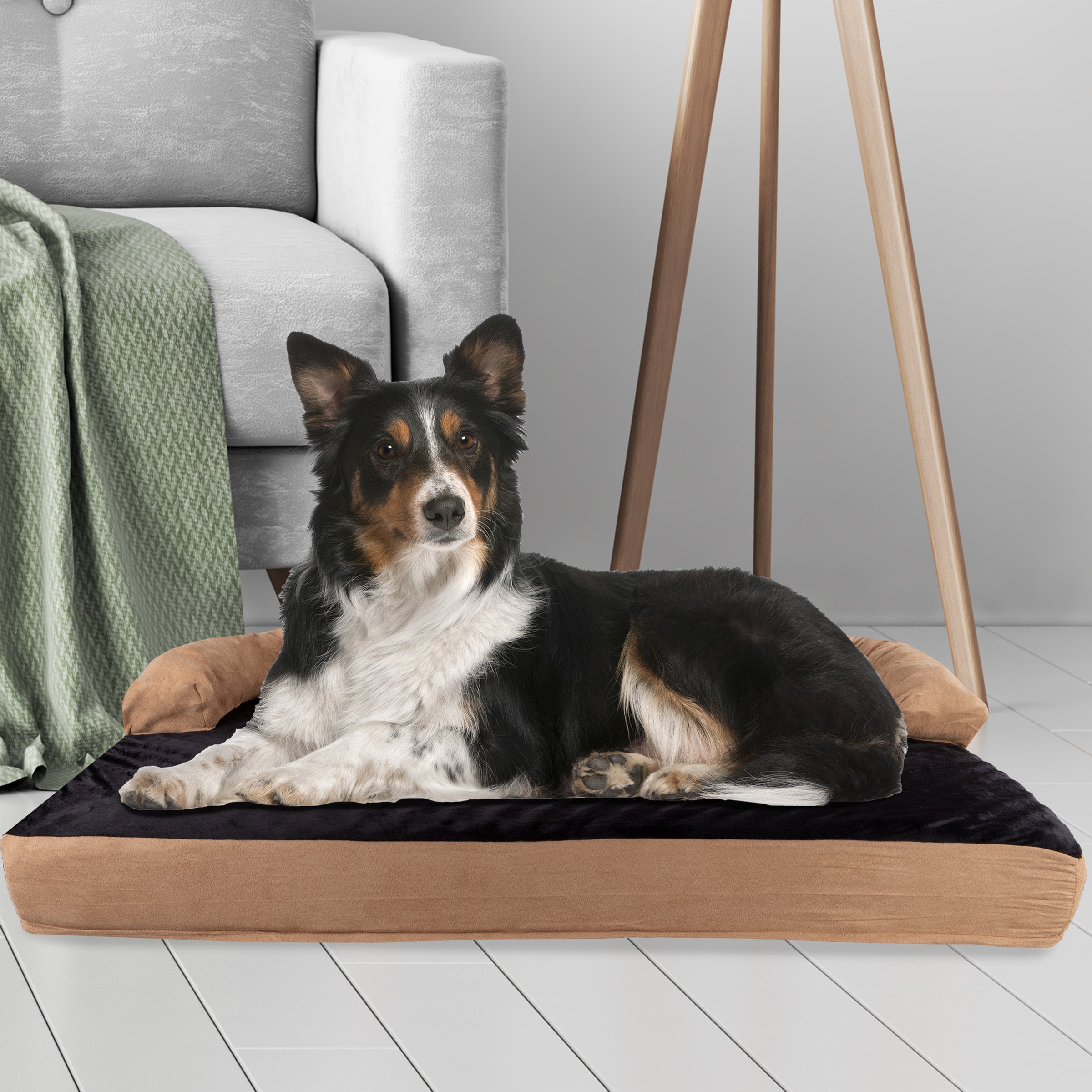 Cool bed 3 2024 for dogs