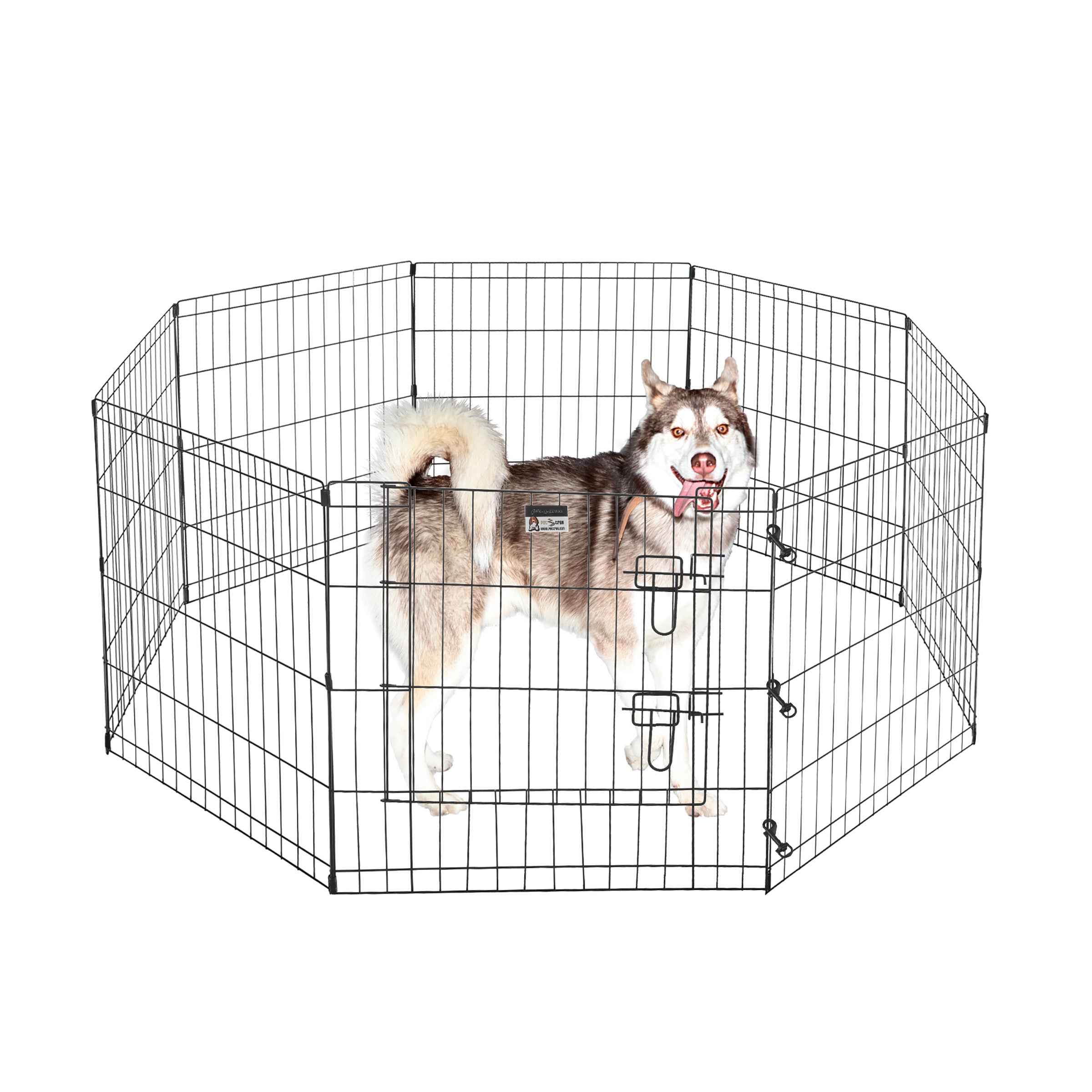 Gated clearance dog kennel