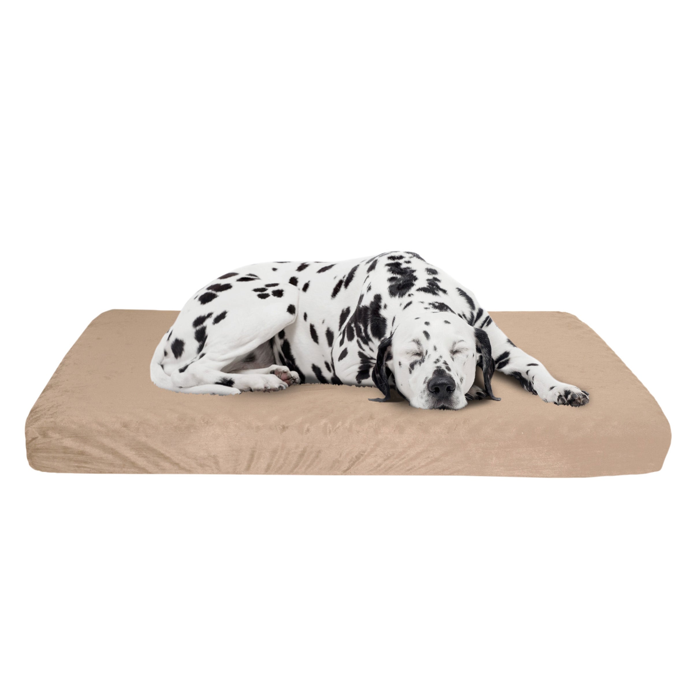 Washable pet outlet bed