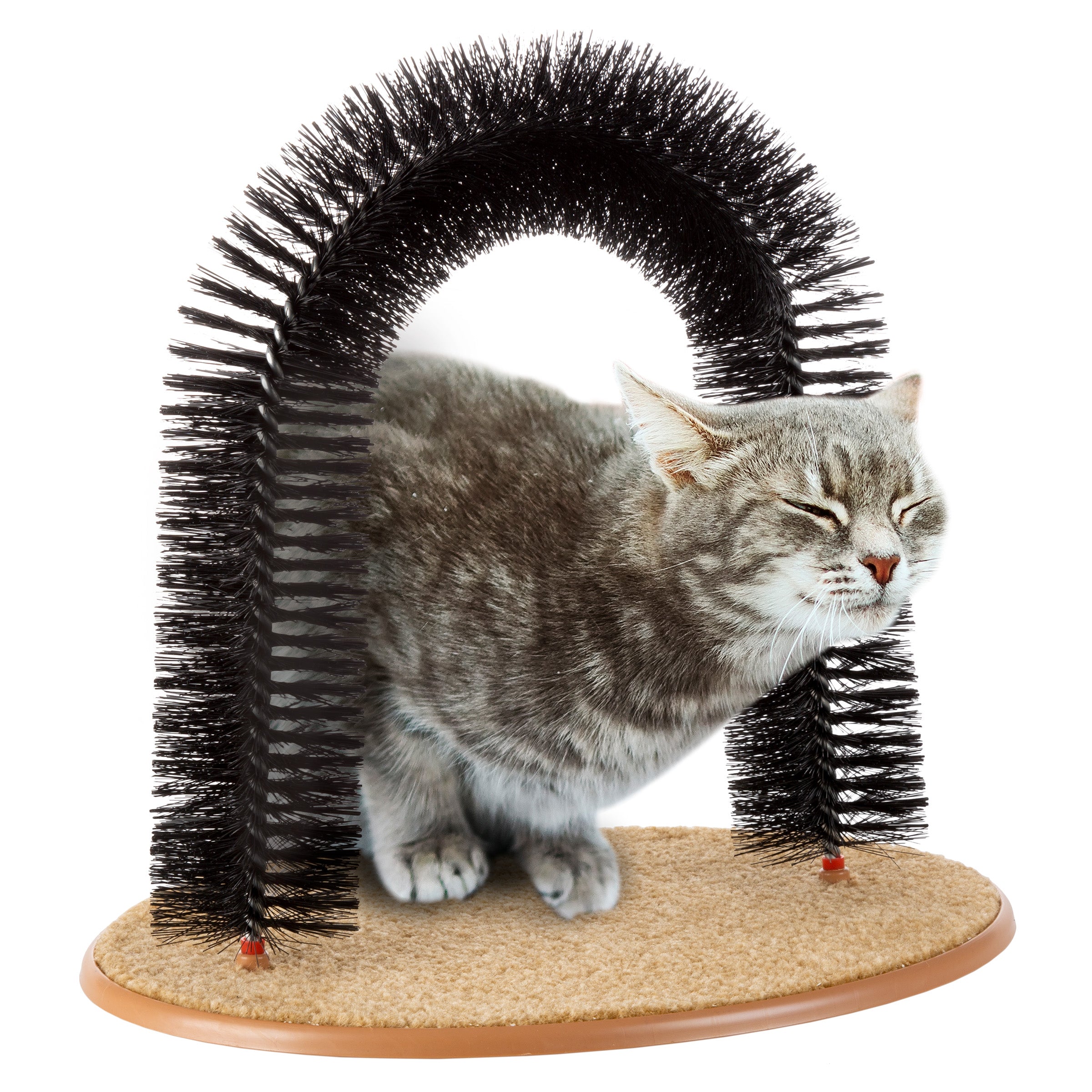 Cat self best sale groomer brush