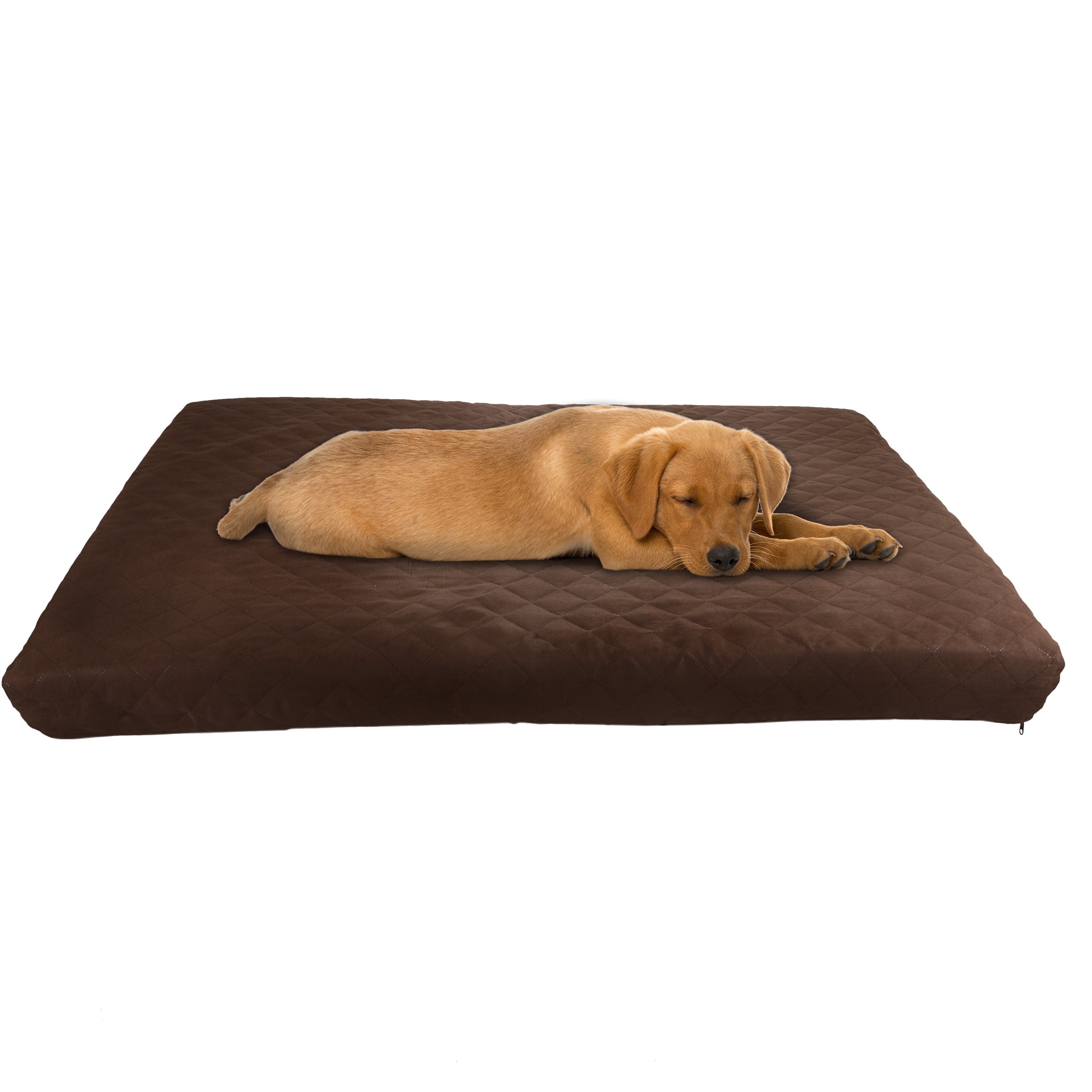 Large dog bed with removable cheap cover